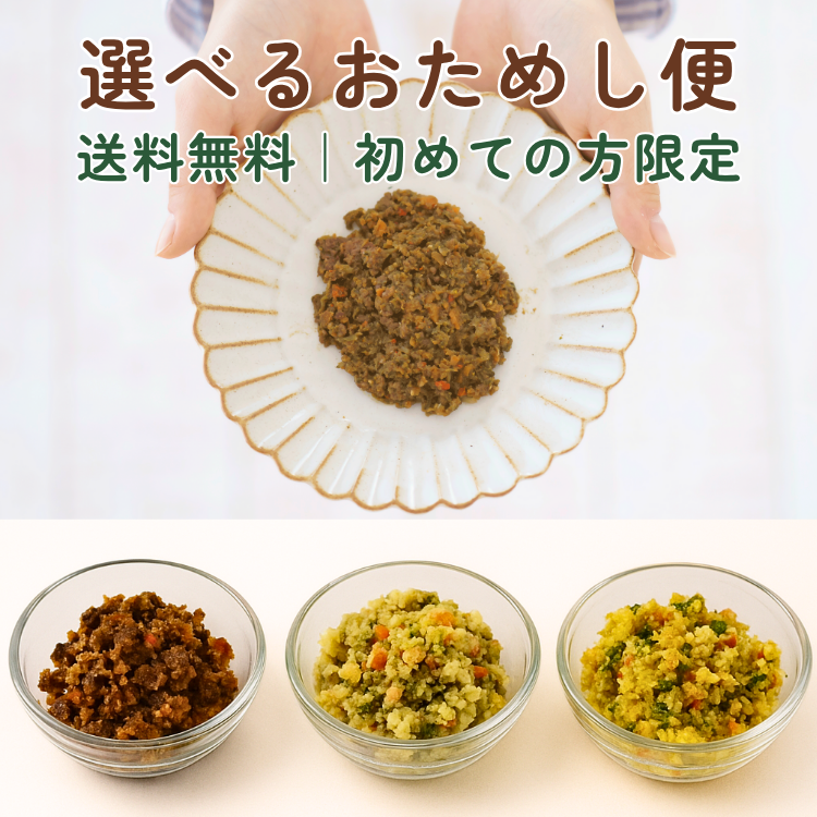 【新メニュー発売のお知らせ】選べる3種類になりました🐶✨