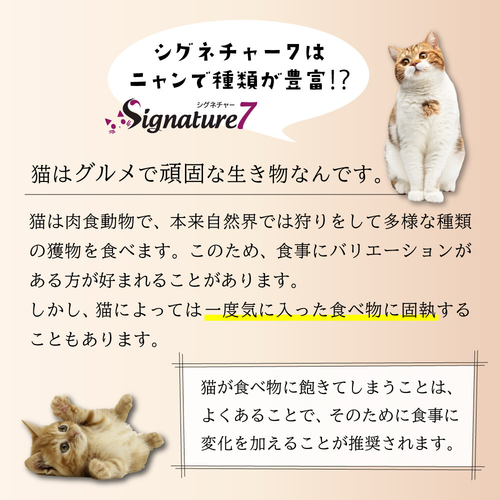 シグネチャー７　プレミアムなお魚の話