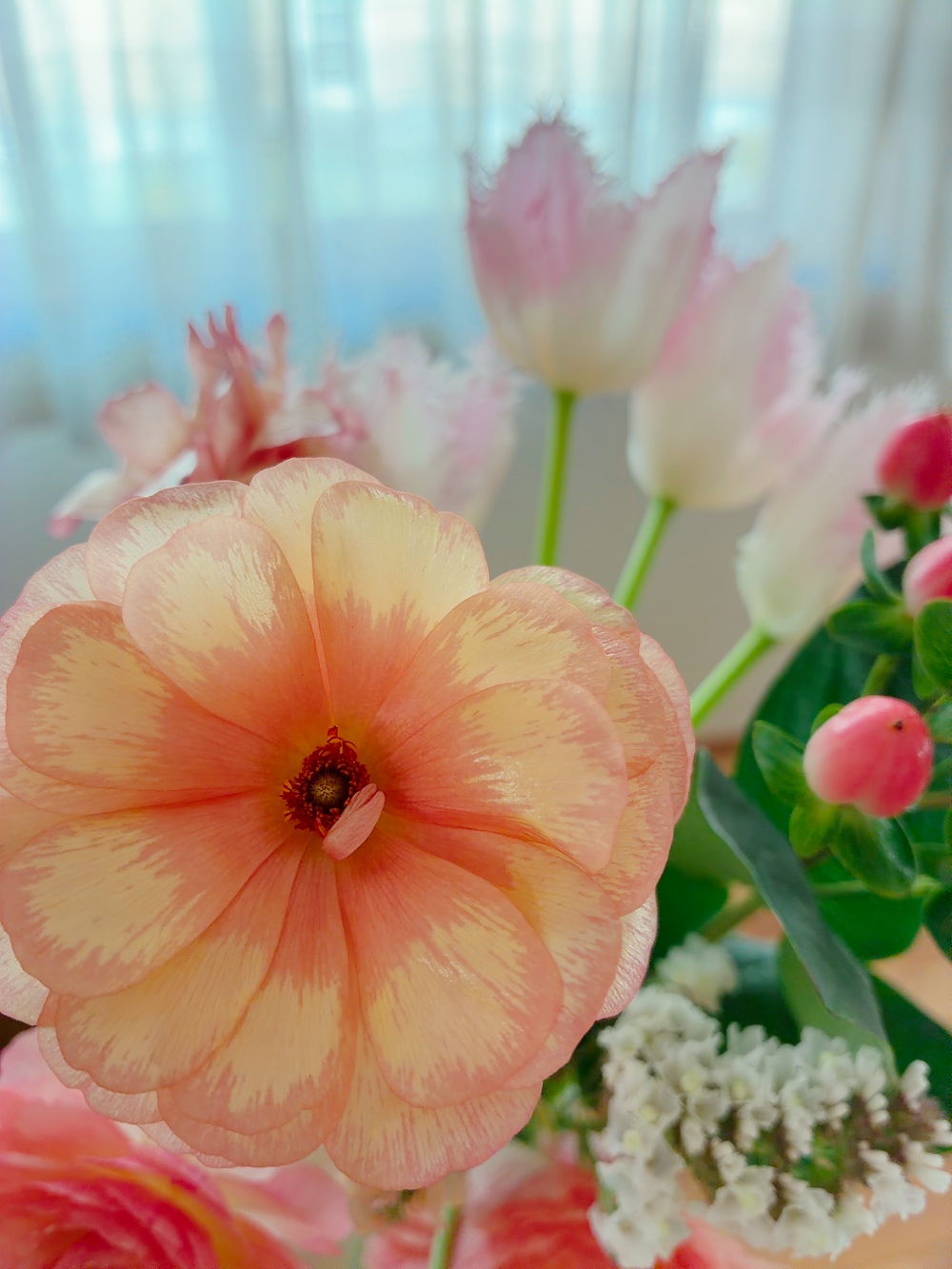 期間限定価格です