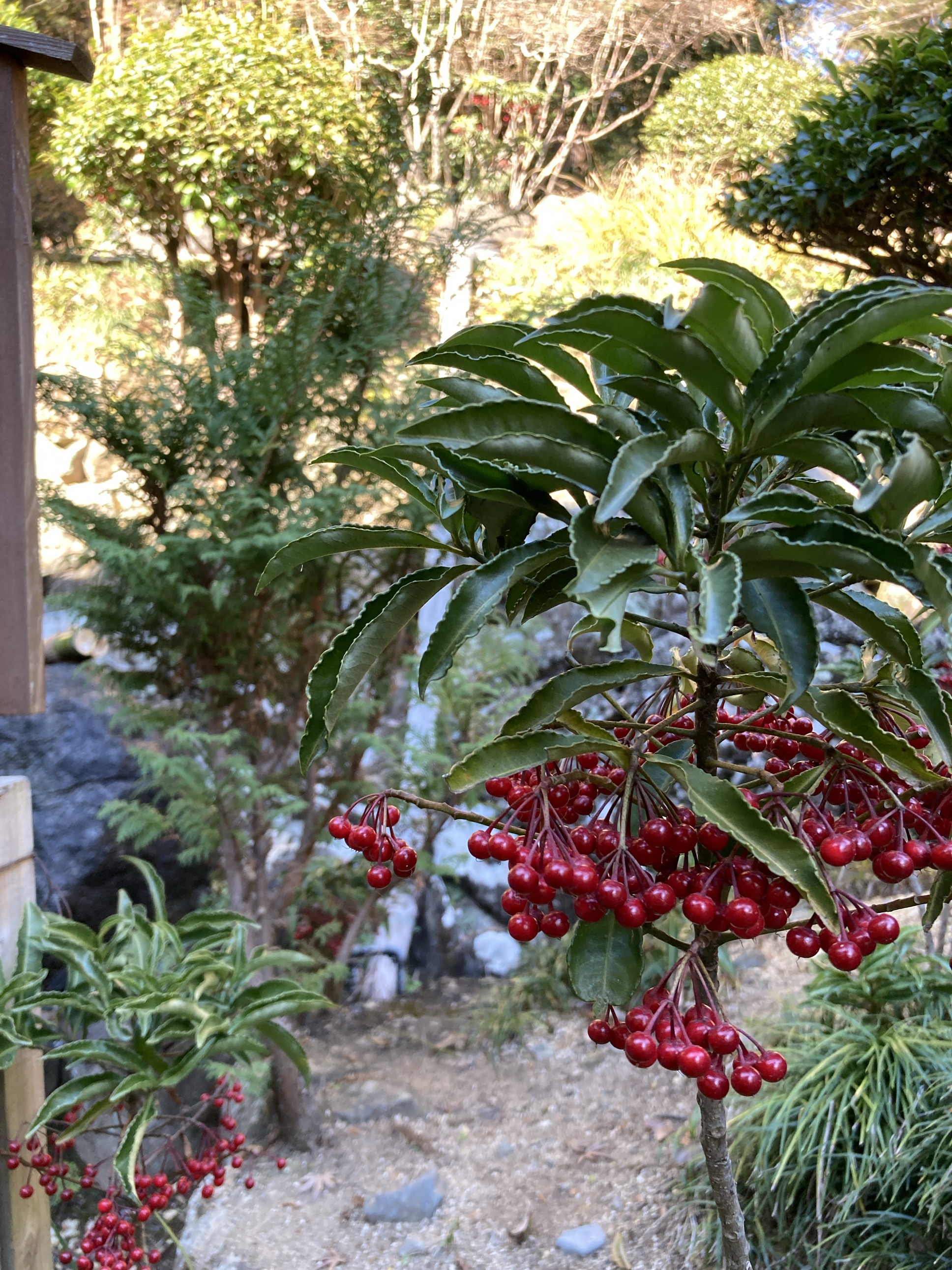 本年もどうぞよろしくお願い申し上げます