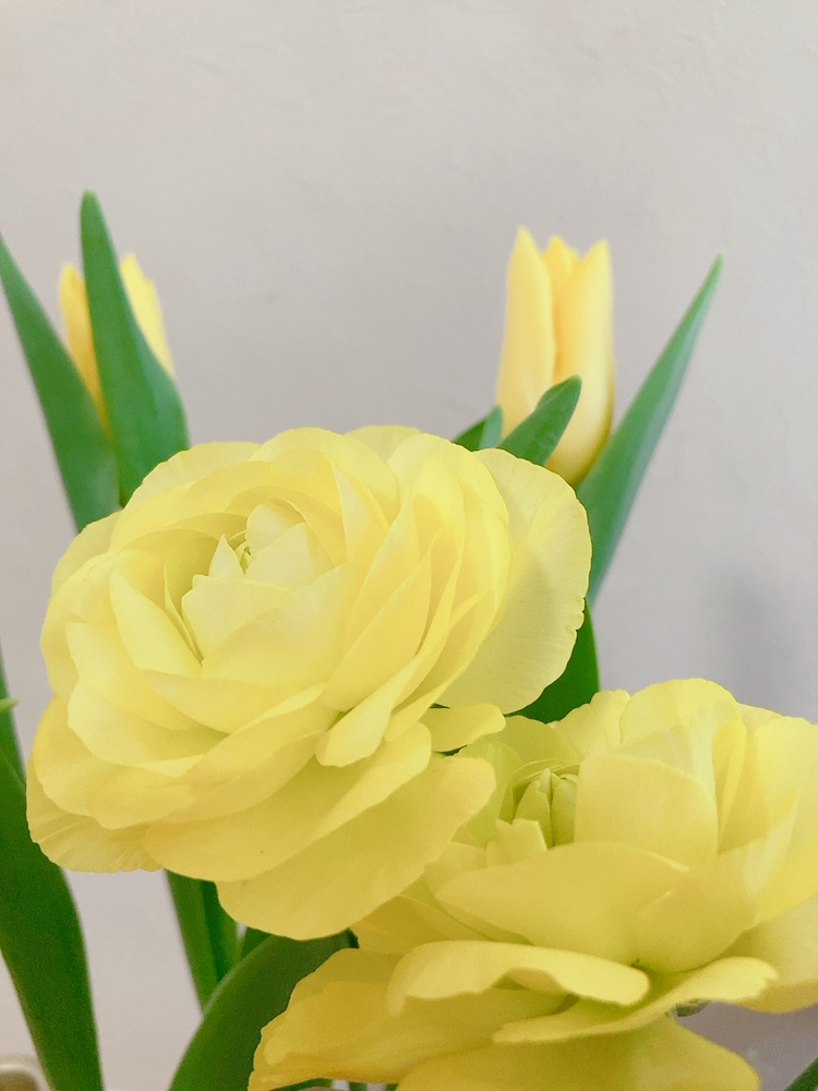 巡り巡るからだに