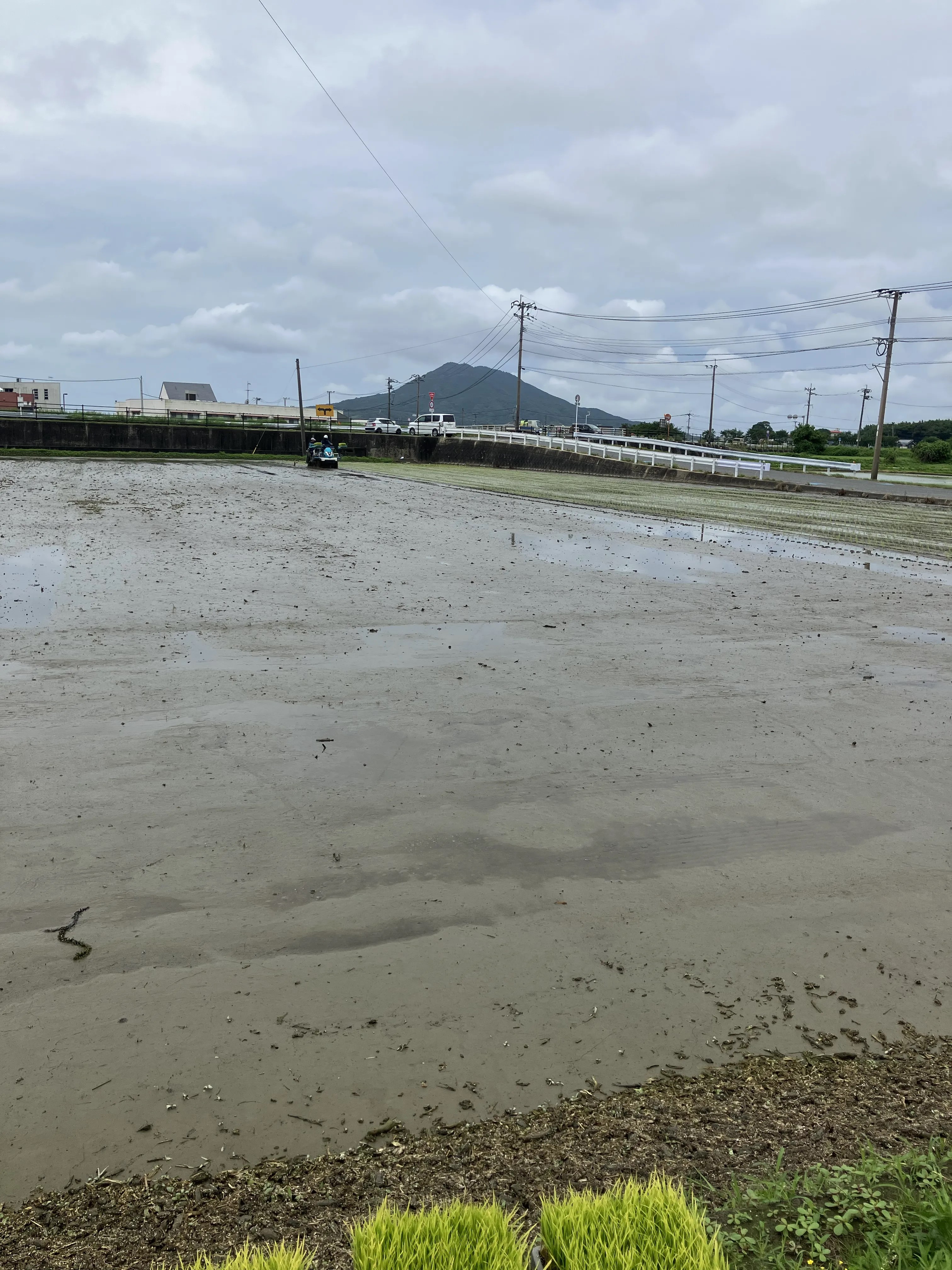 令和8年産糸島米★田植え開始