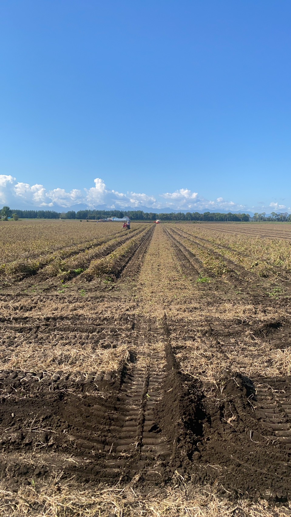 小豆の仕入～北海道帯広市へ～