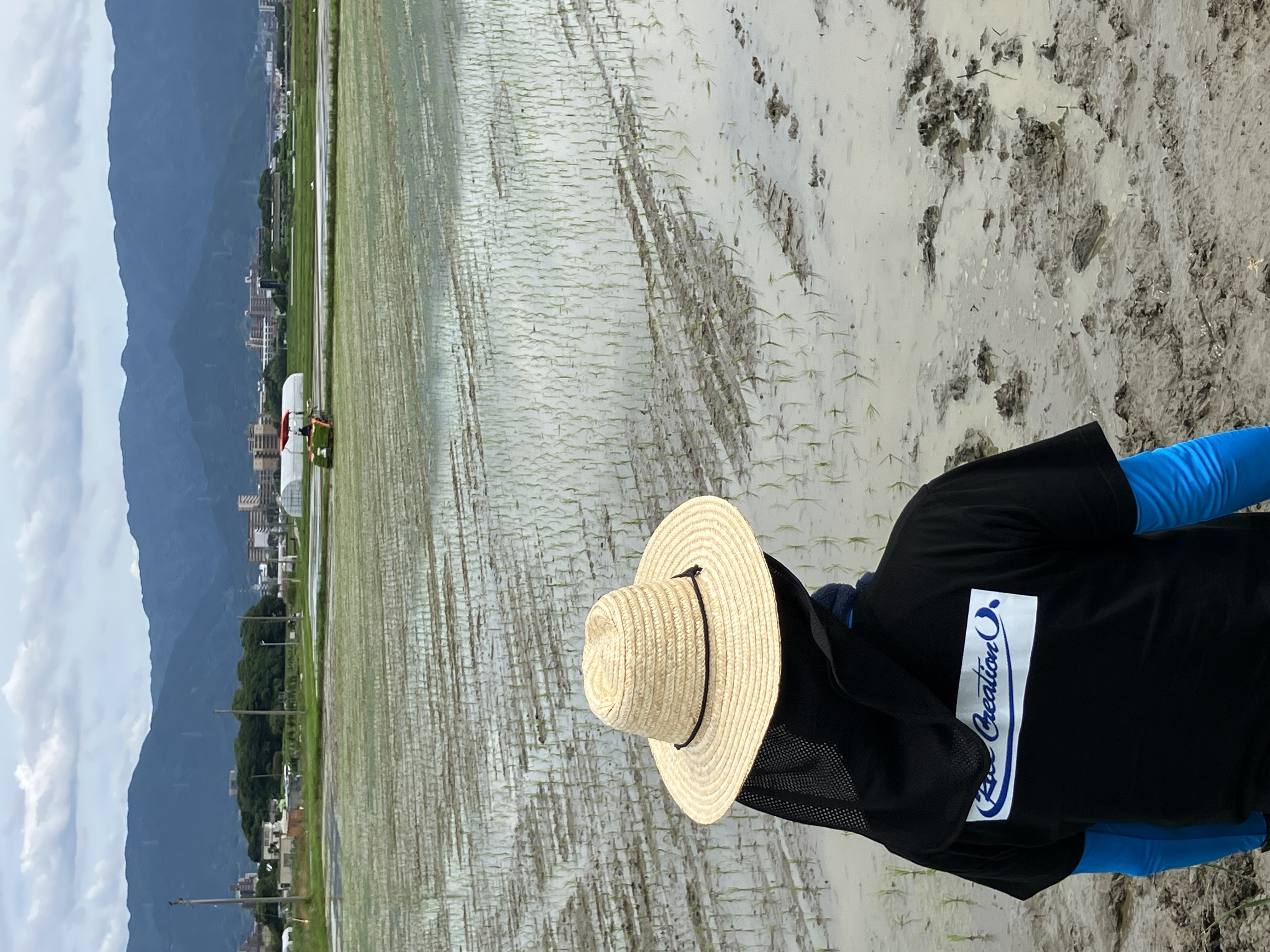 糸島のお米出来ました★