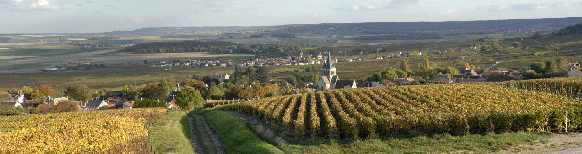 試飲の最後に現れたメゾンの象徴。8年の歳月と鮮烈な酸が同居する「ル・アンティーク」（前編）
