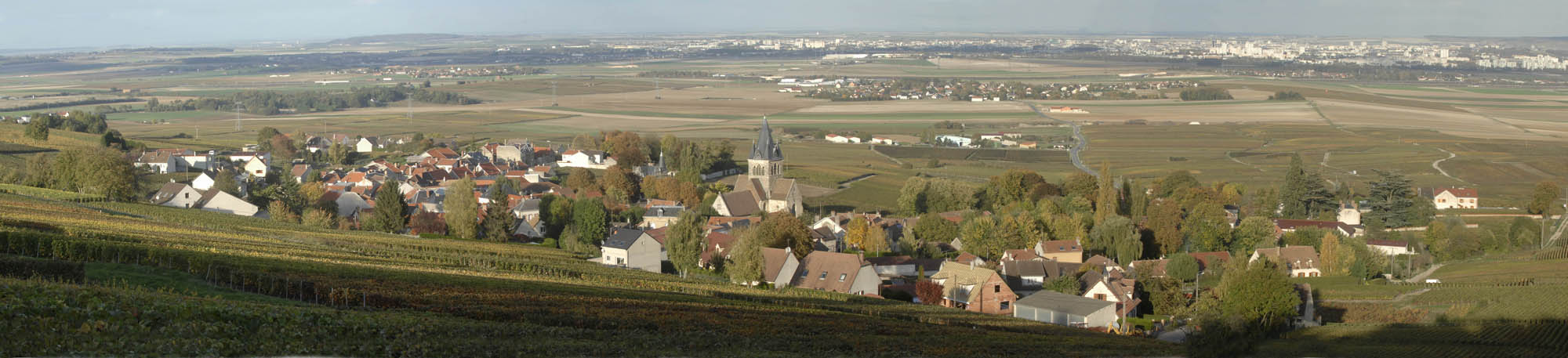 【後編】想像を掻き立てる「お鮨」とのペアリング。愛好家を魅了するル・アンティーク