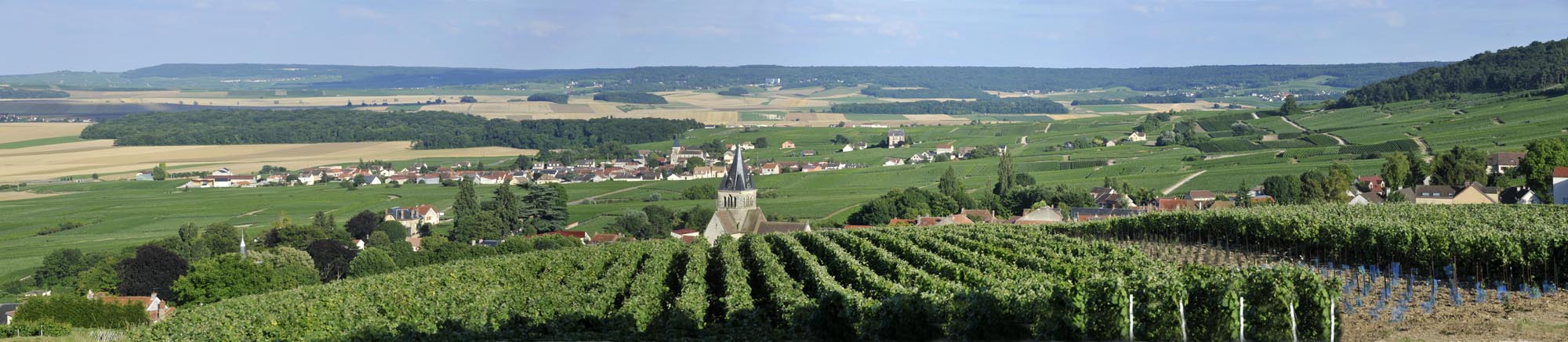 あの優しい泡の続き。赤ワインを贅沢にブレンドした、ブルゴーニュのように優雅なロゼ・シャンパーニュ