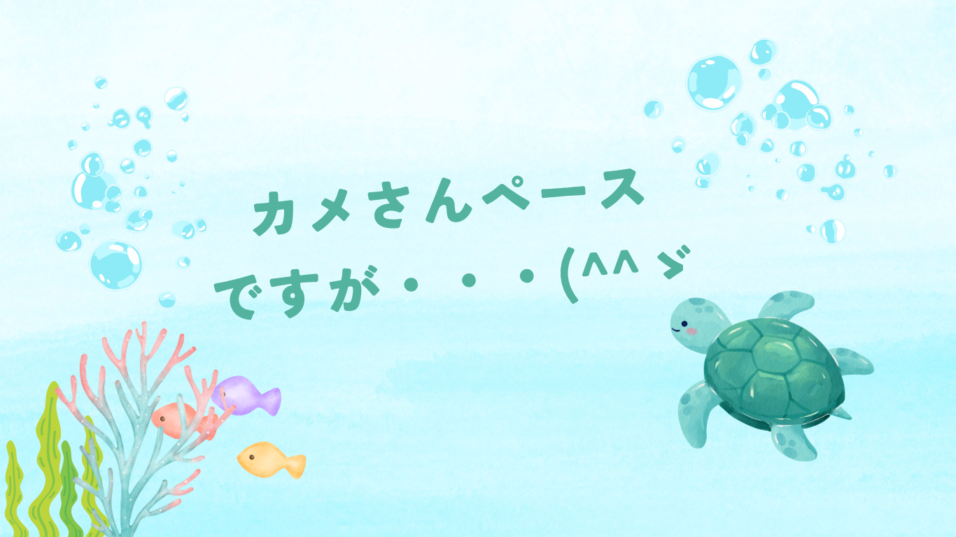 カメさんペースですが(^^ゞ