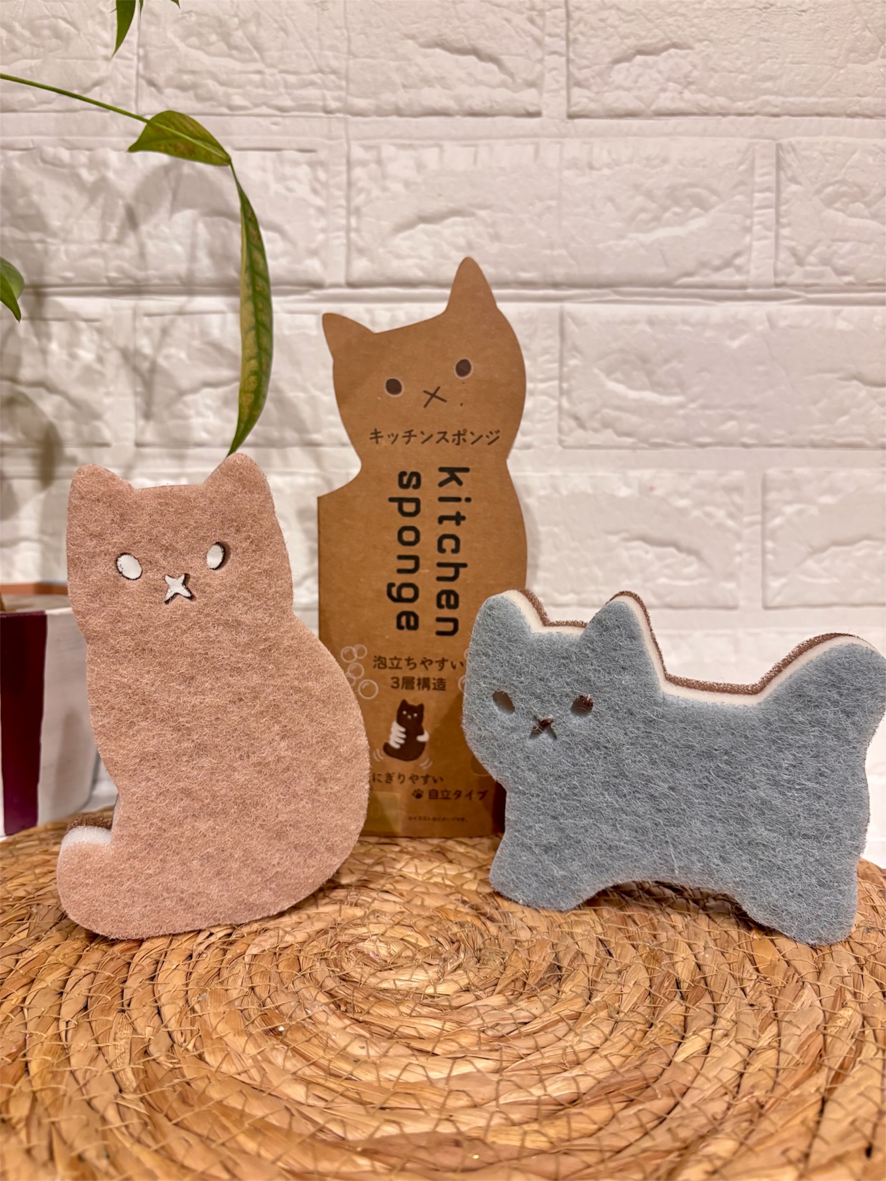 にゃんこ型スポンジが登場