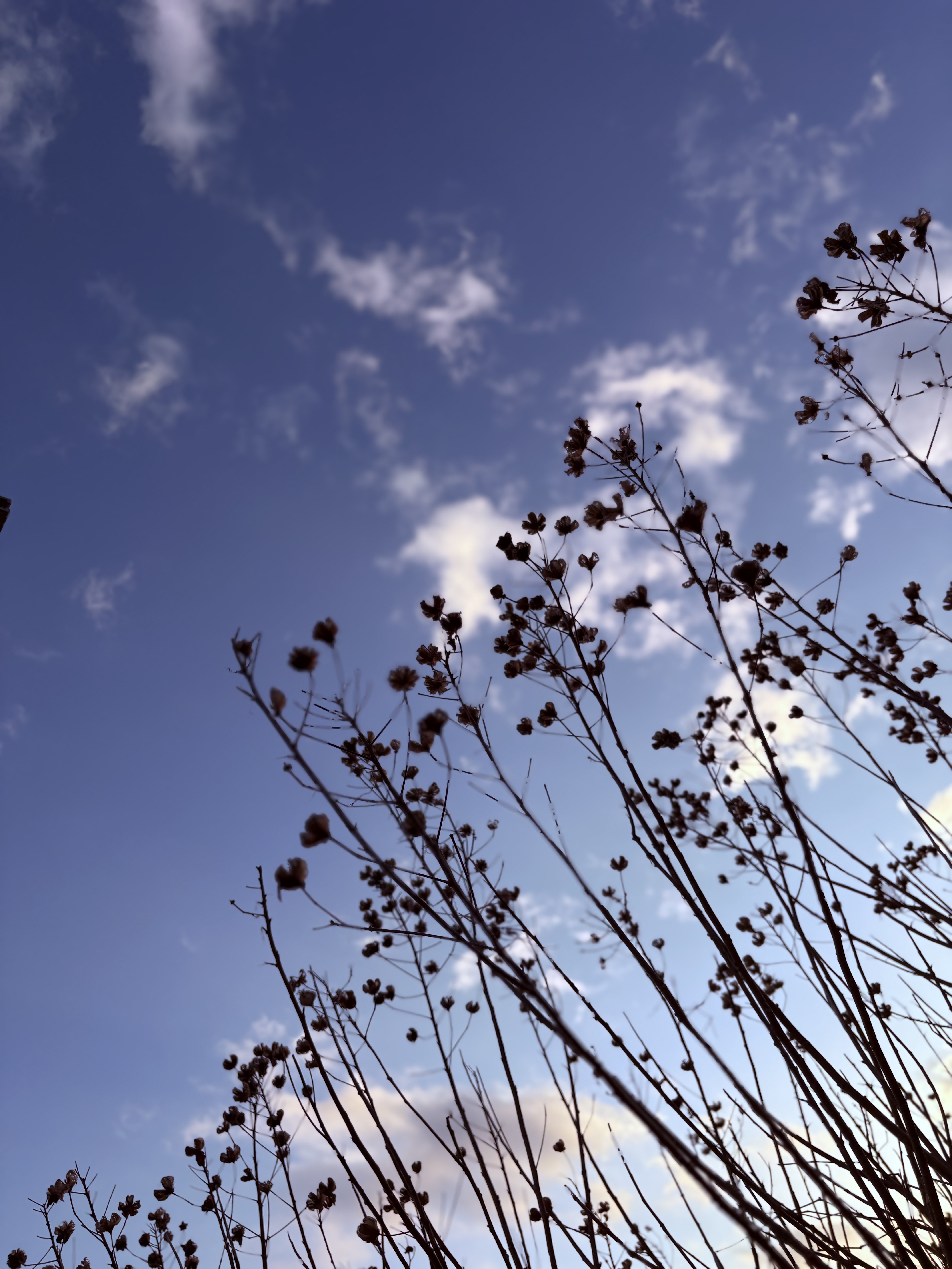 一歩踏み出す春