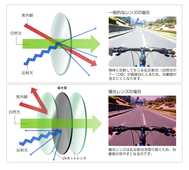 偏光レンズ