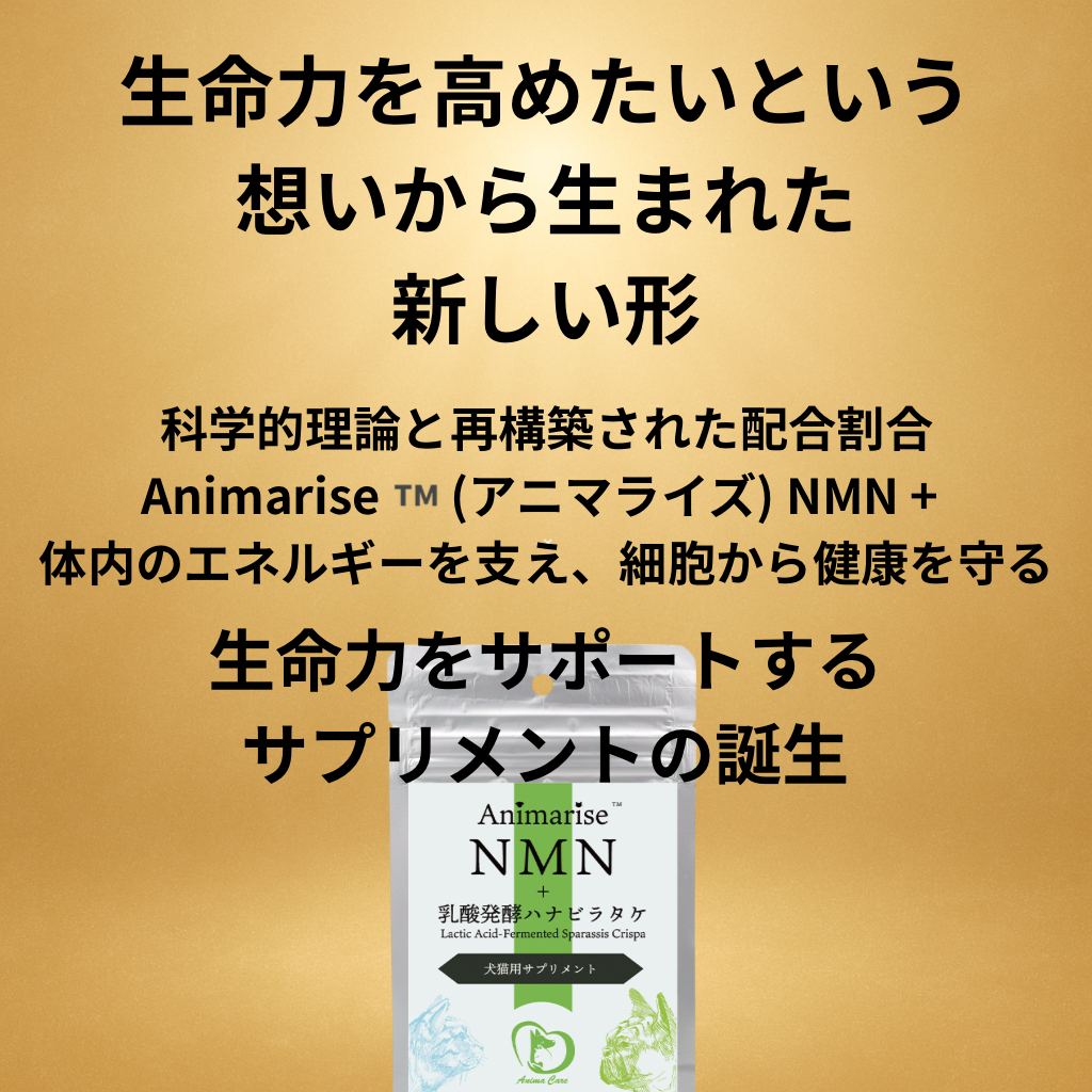 【科学で導く“信頼”──Animarise NMN+が現場で選ばれる理由】