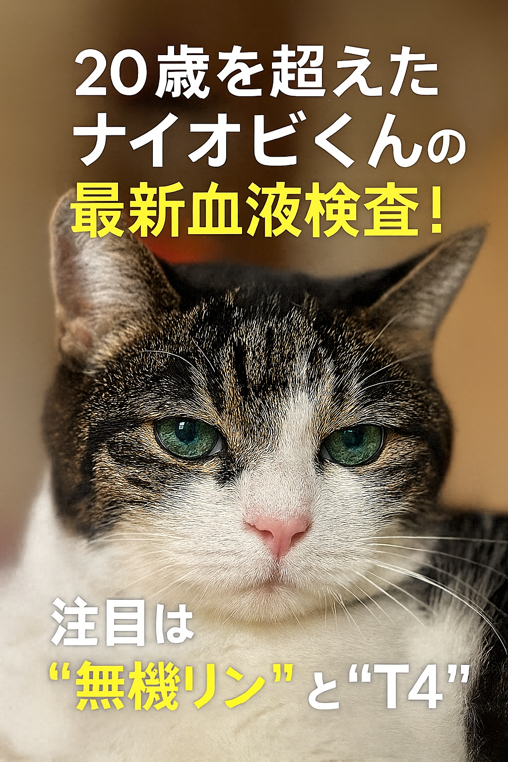 【20歳を超えても健やかに──ナイオビくんの最新血液検査と飼い主様の声】