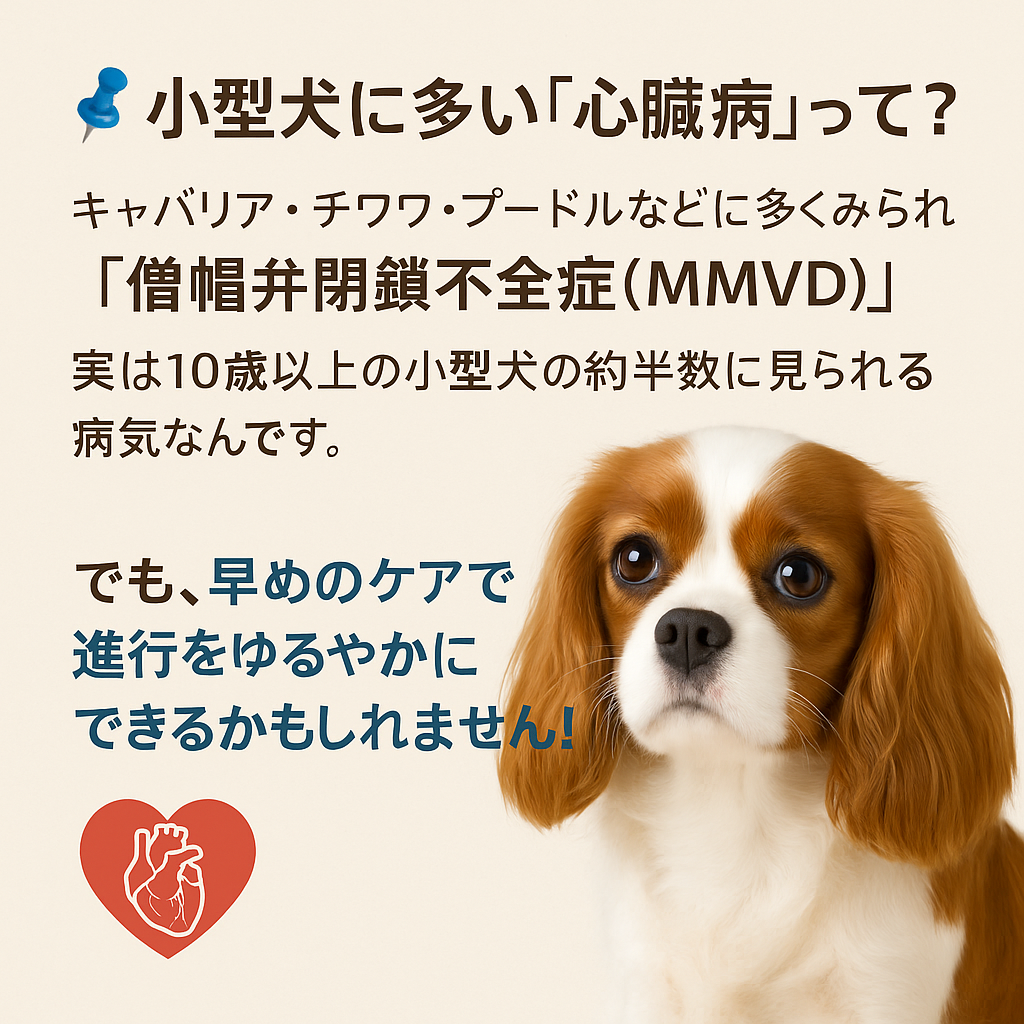 【🫀愛犬の心臓に起きる異変】