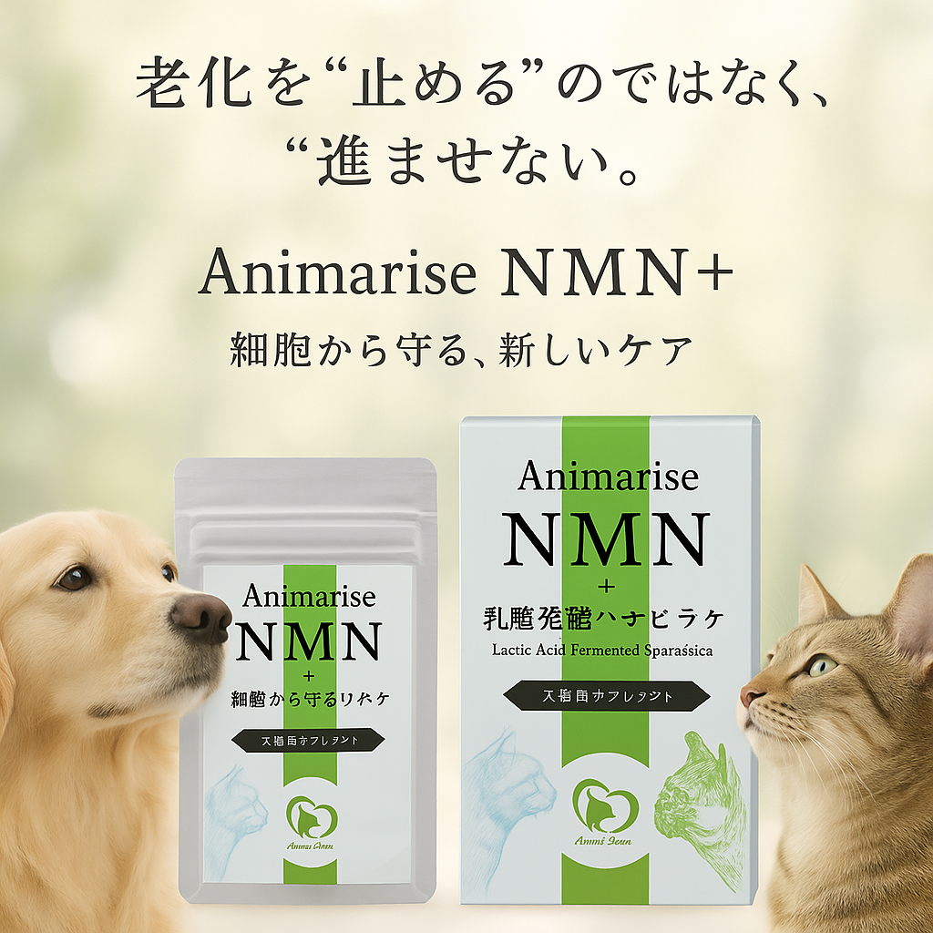 【🐾 老化を「止める」のではなく、「進ませない」】
