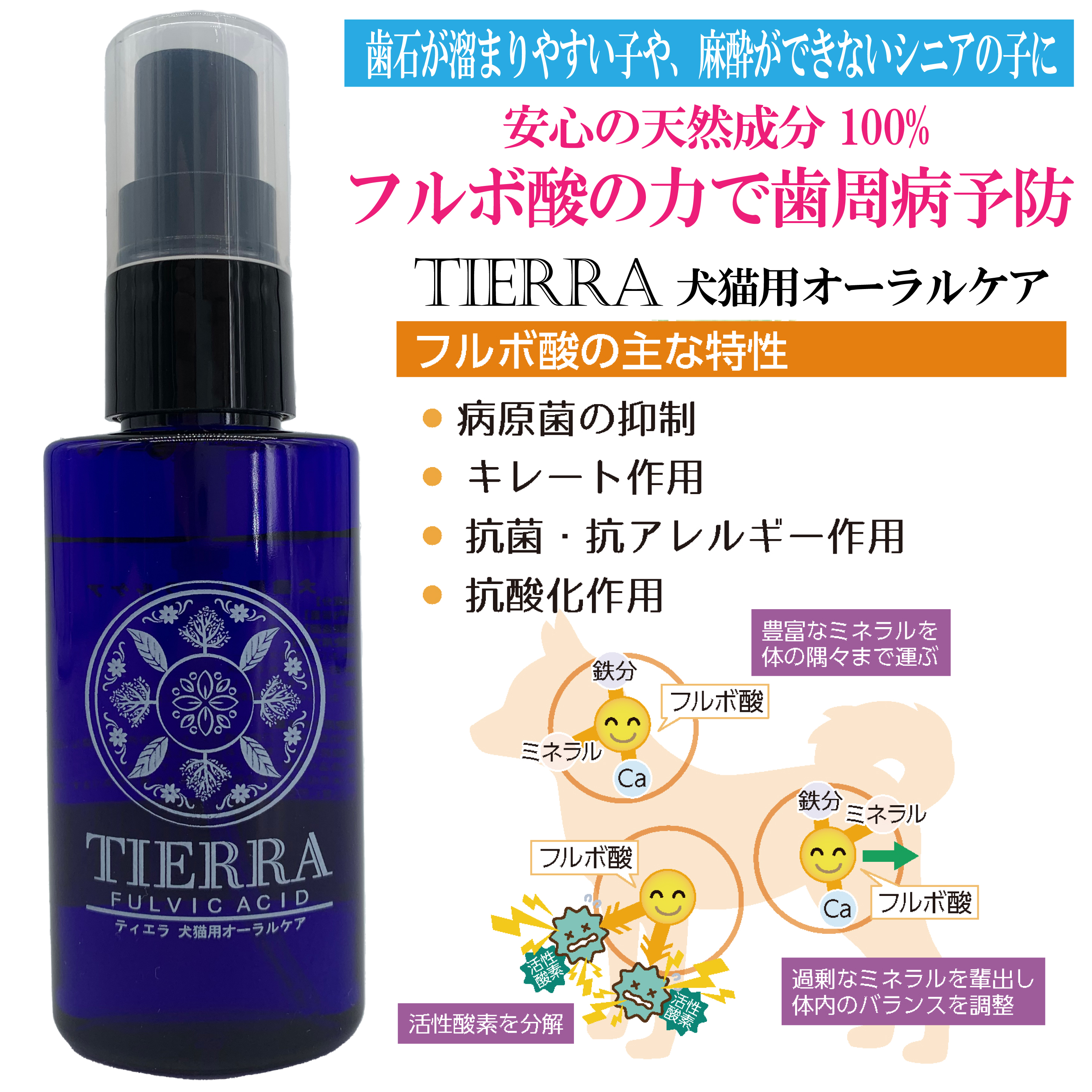 【歯石・歯垢をためない！TIERRA（ティエラ）で始める毎日の口腔ケア（マヌカハニーとの相性も◎）】