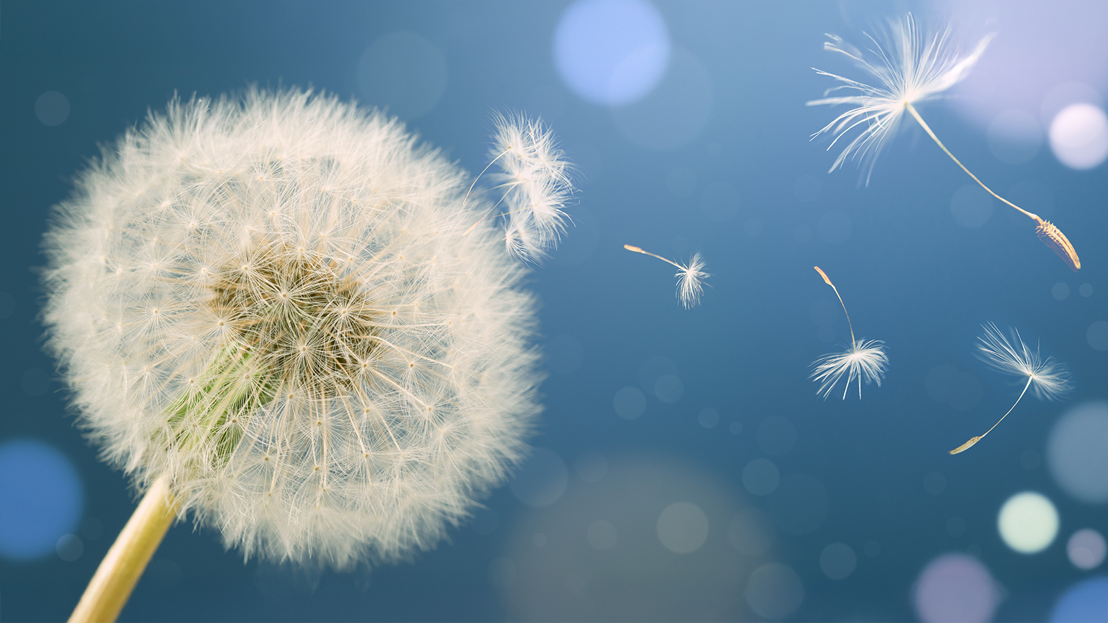 草のニュース一覧