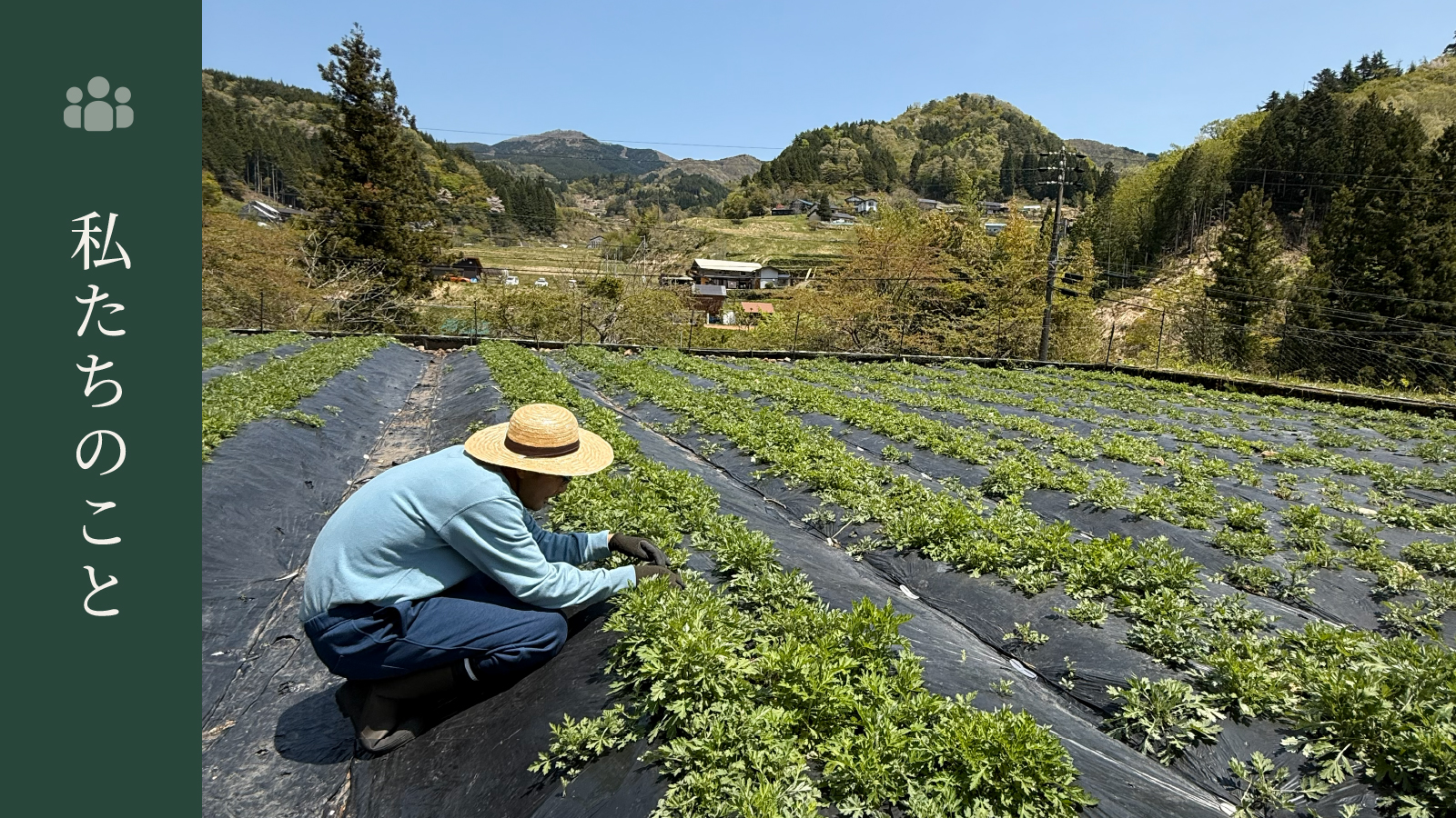【私たちのこと】よもぎファームの6つのこだわり — 自然栽培 & 自然素材由来100%
