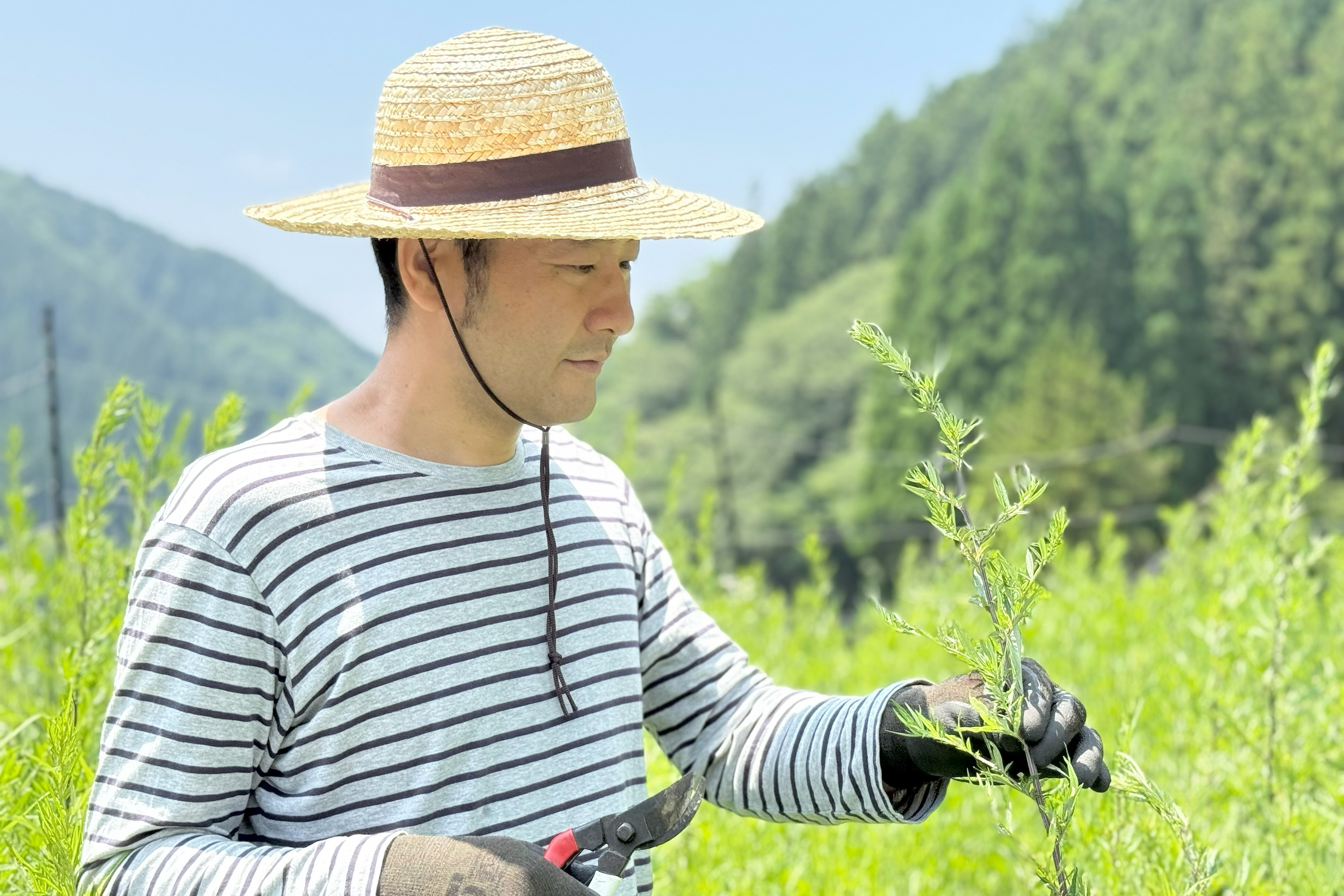 よもぎファームが生まれるまでの物語