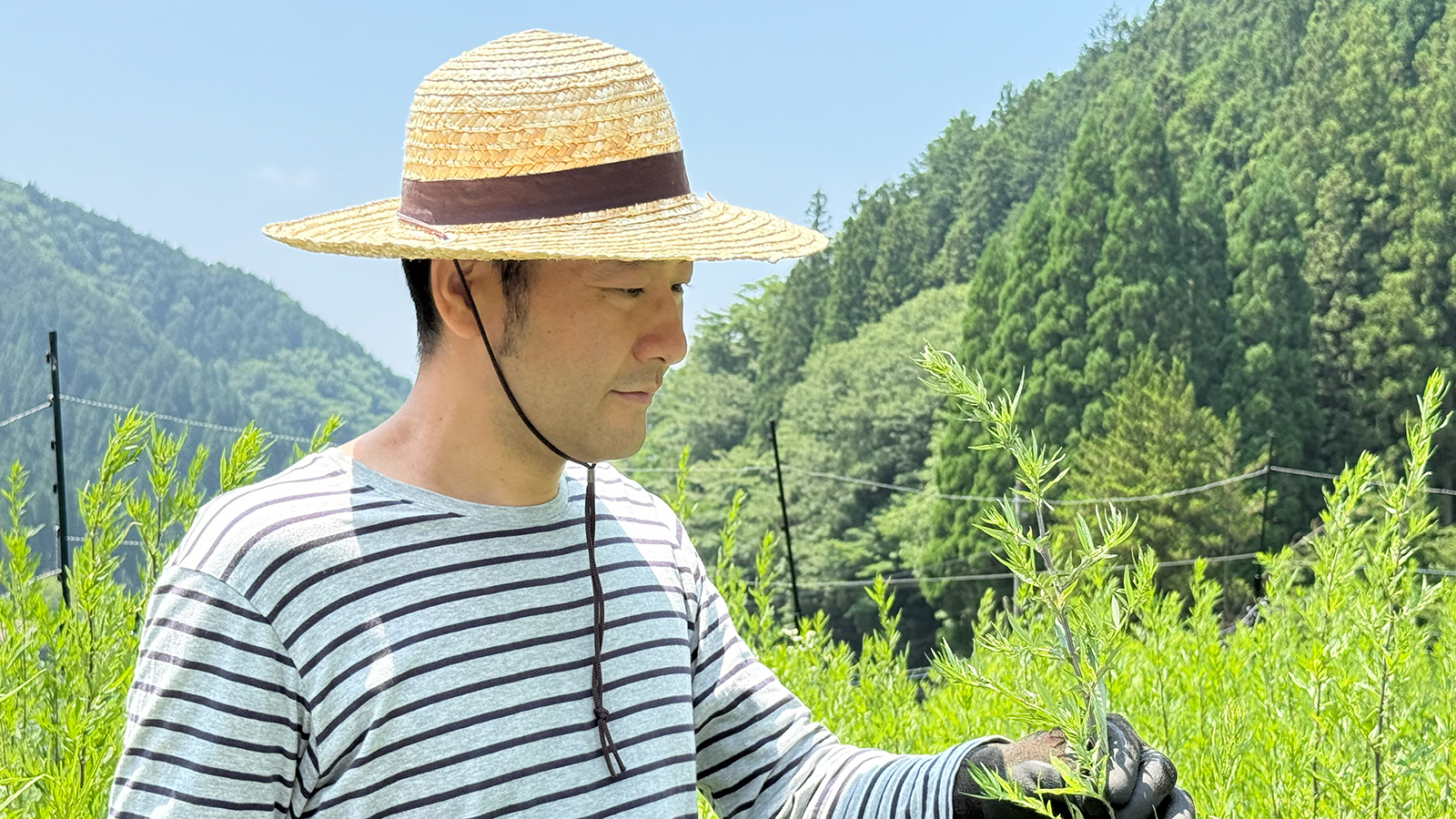 【私たちのこと】よもぎファームが生まれるまでの物語