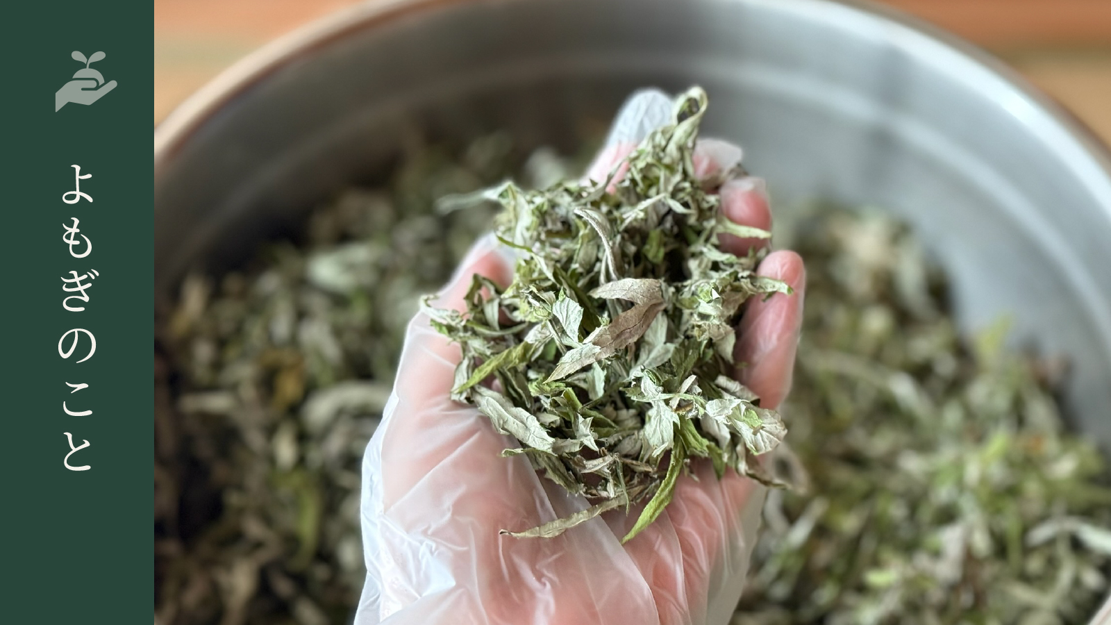 【よもぎのこと】乾燥よもぎ100gを作るには？生葉の重みと、草の命の話。