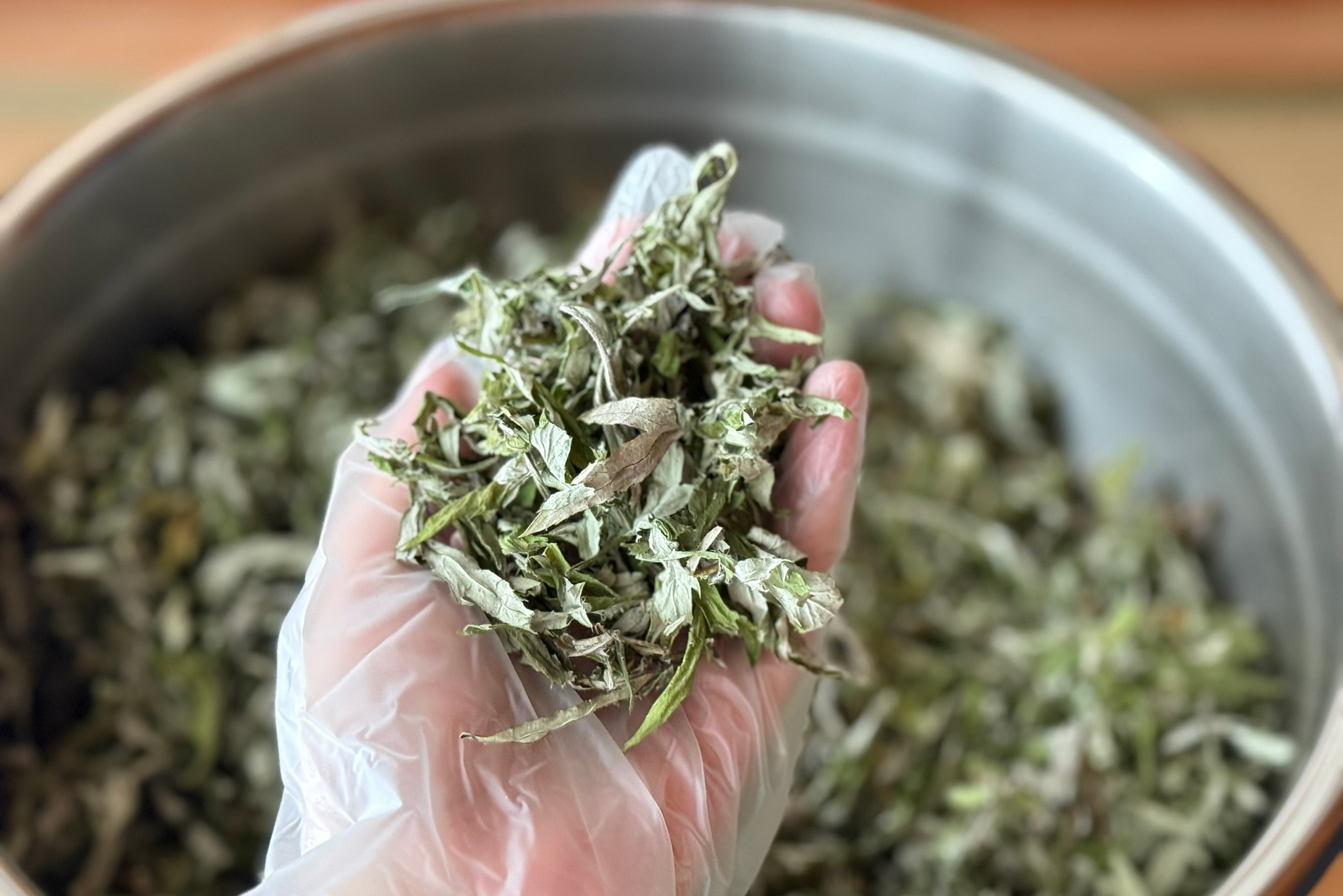 乾燥よもぎ100gを作るには?生葉の重みと、草の命の話。