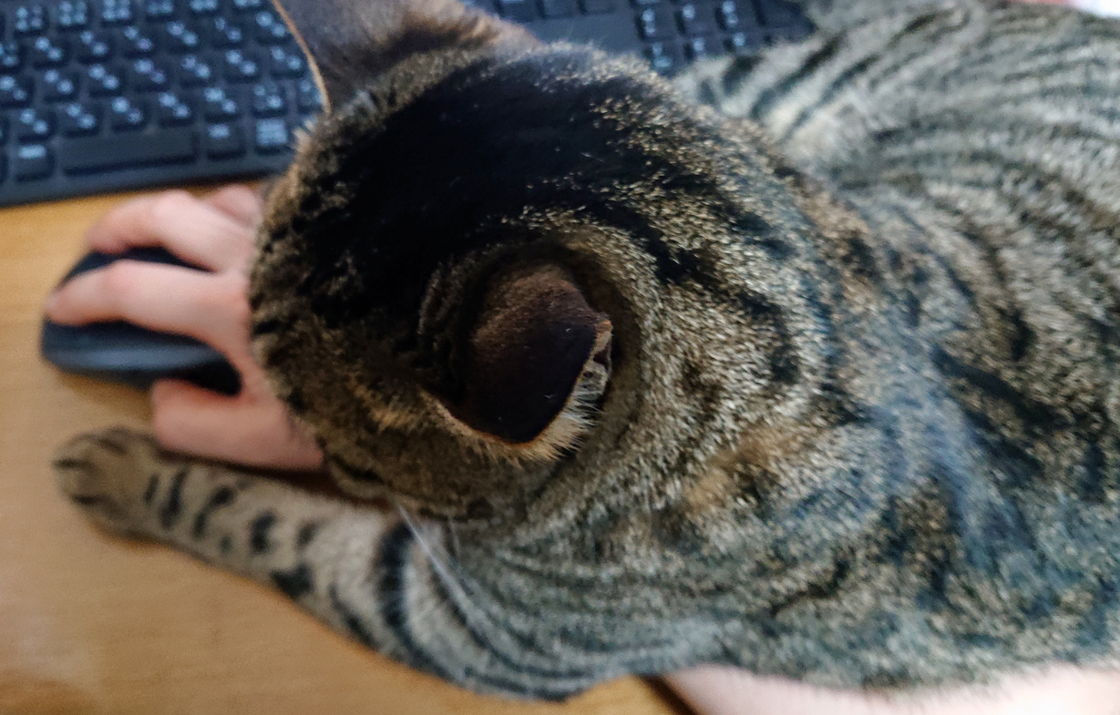 久々に更新するにも