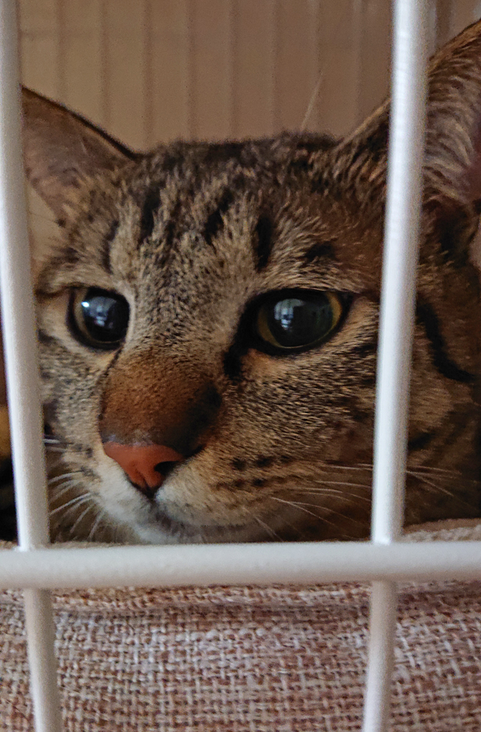 お休みのおしらせ(9/8-15)