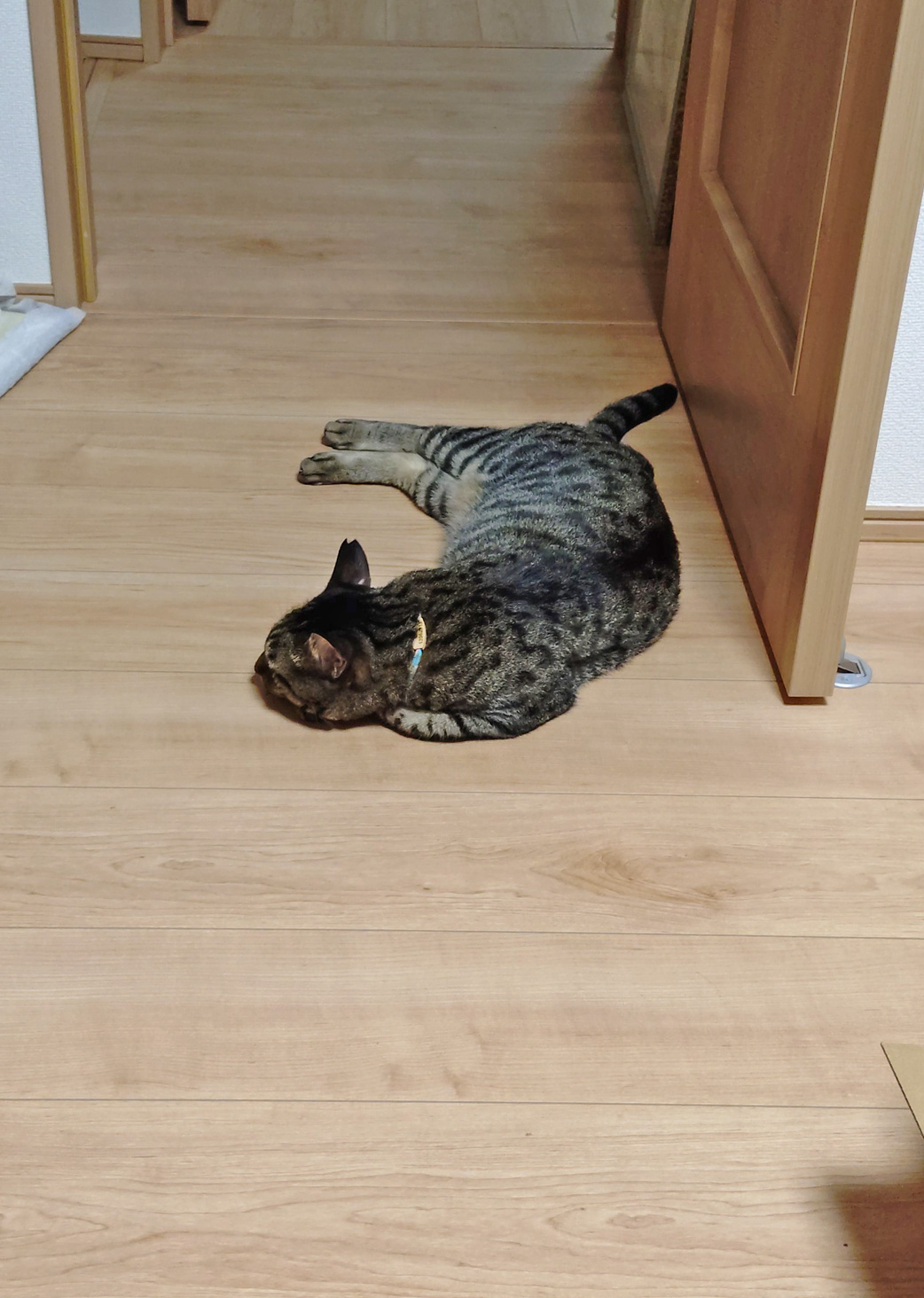 お皿など追加しました