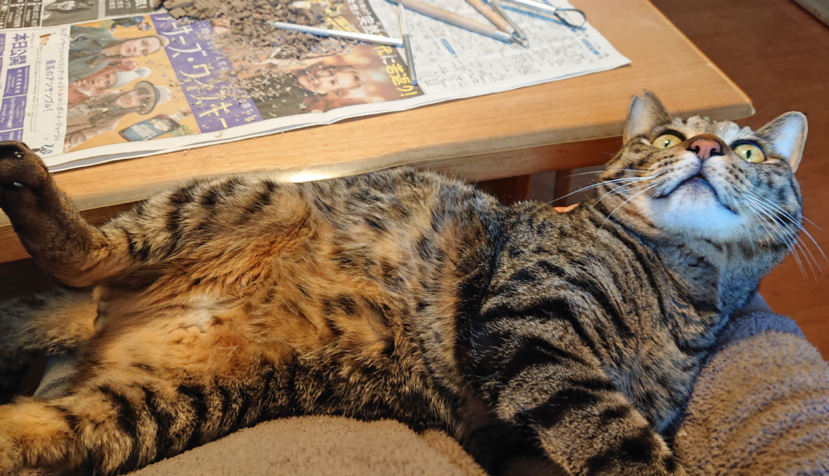 オープンしました