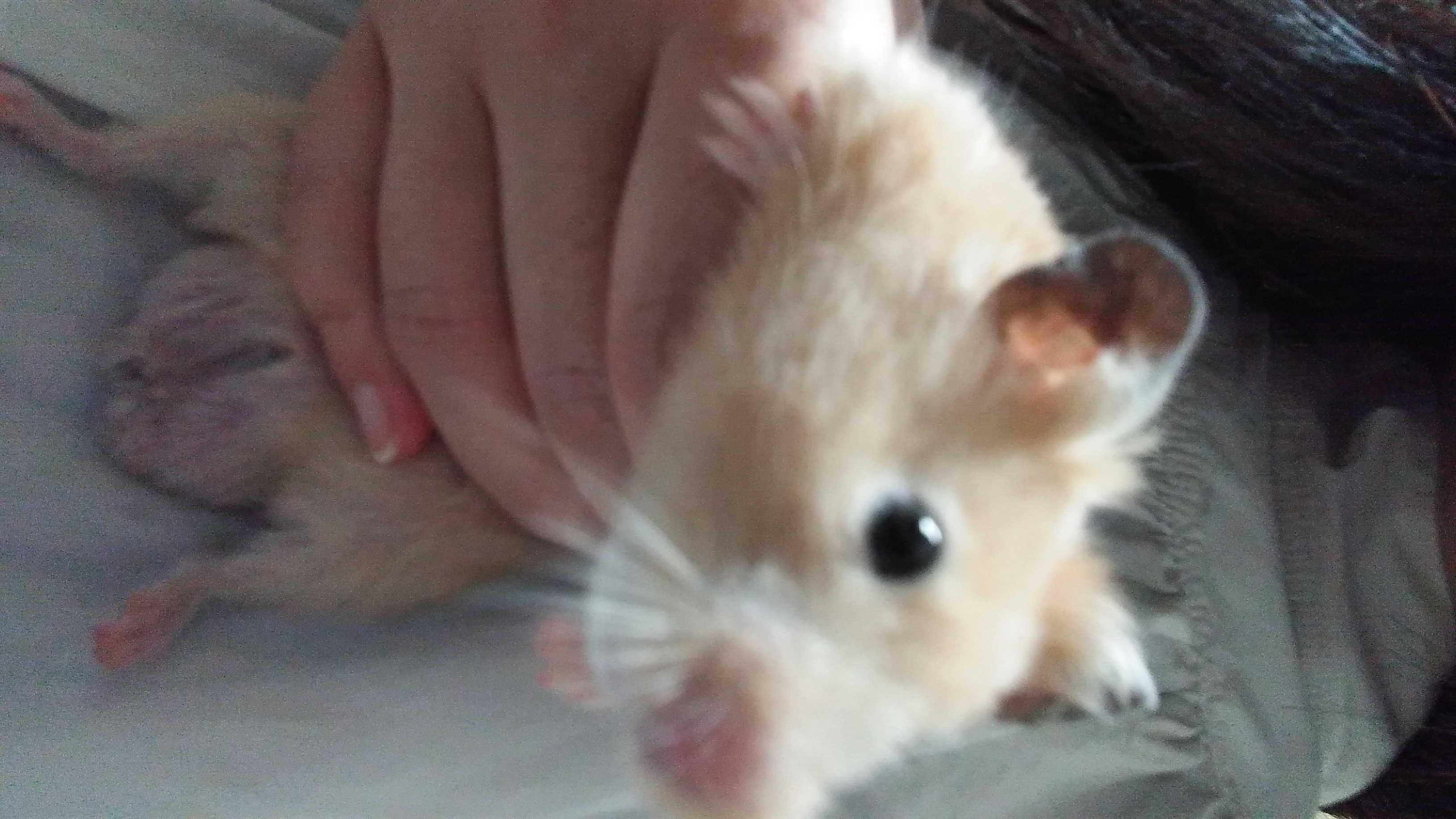 ちょっと案が出てきたようです