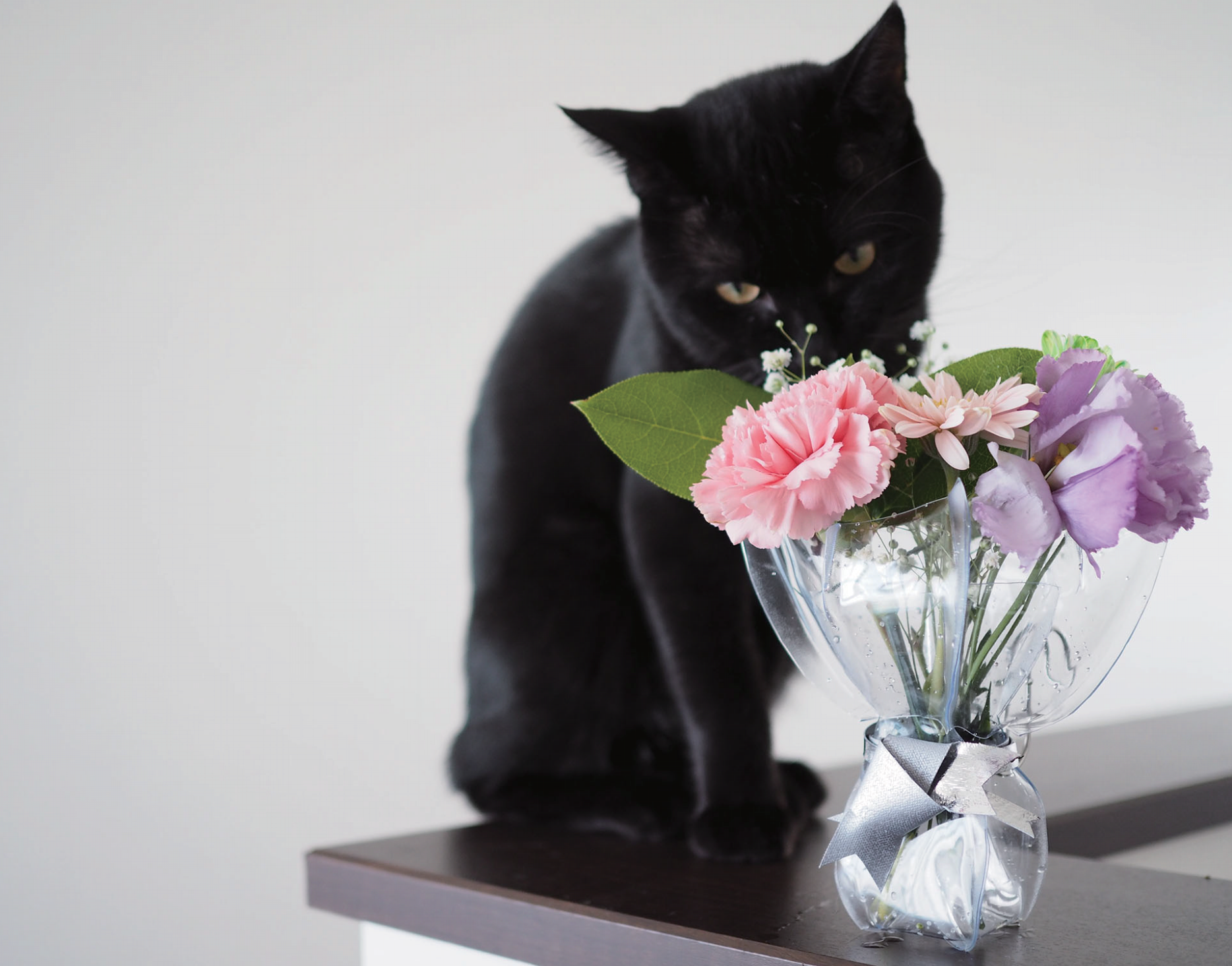 就活Webテストの種類まとめ【玉手箱・TG-WEBなど】