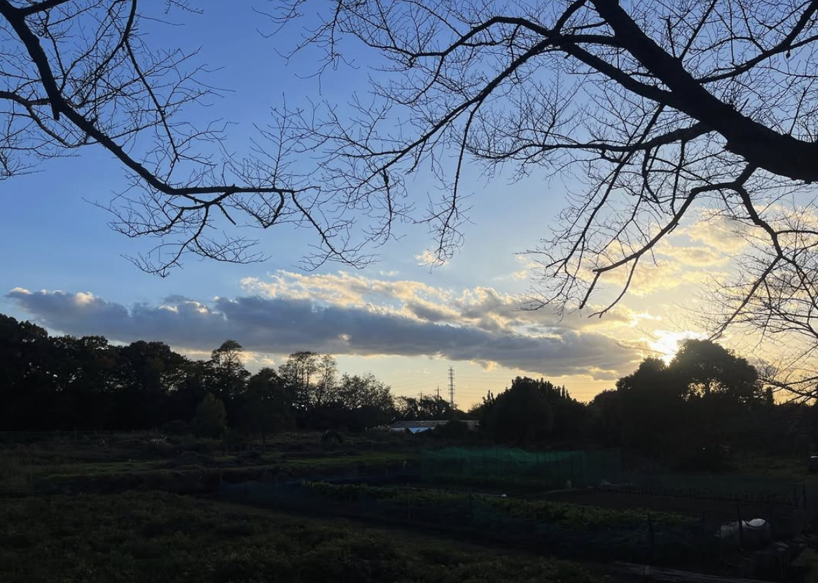 「人が集まり、新しいつながりが生まれる場」El Doradoの立ち上げ背景