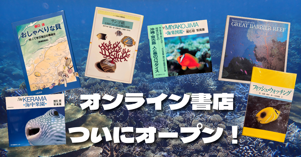 朝陽珊瑚堂を正式にオープンしました！