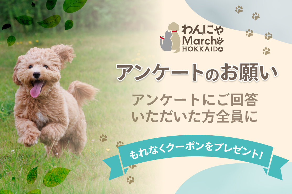 【全員にクーポンプレゼント】アンケートご協力のお願い