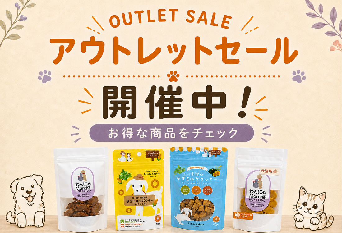 【アウトレット商品を5点追加しました!】