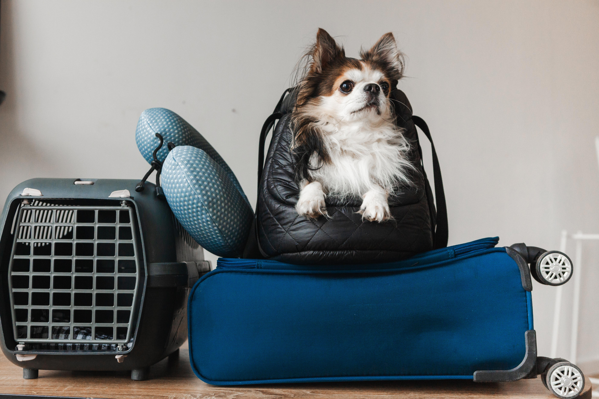 帰省・来客が多い時期のトラブル回避