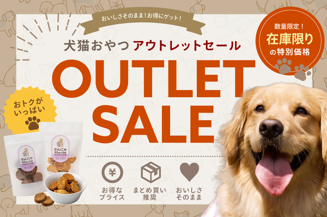【お得なアウトレットセール開催中!】