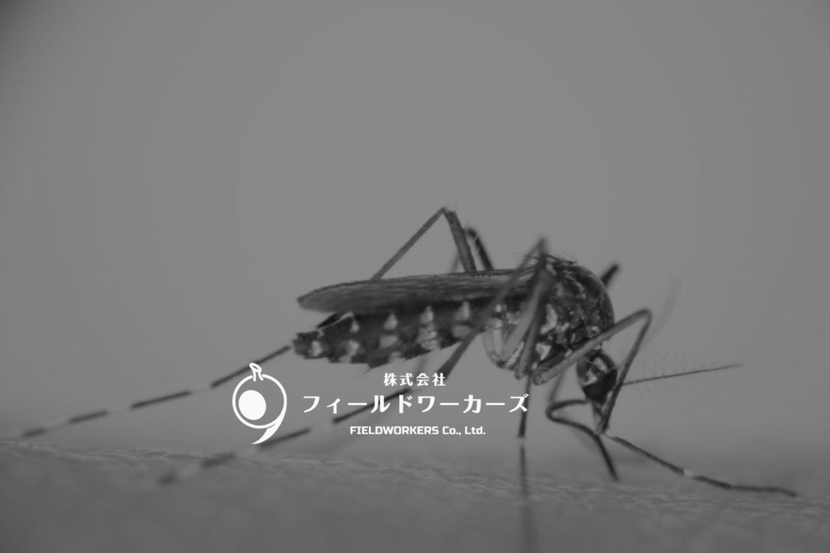 オフィス移転のお知らせ