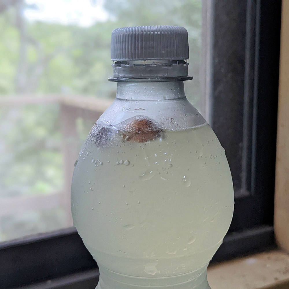 カルダモンエール – 爽やかで美味しい炭酸飲料