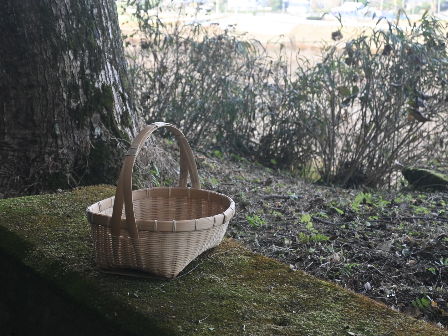 【野良籠】レポート④