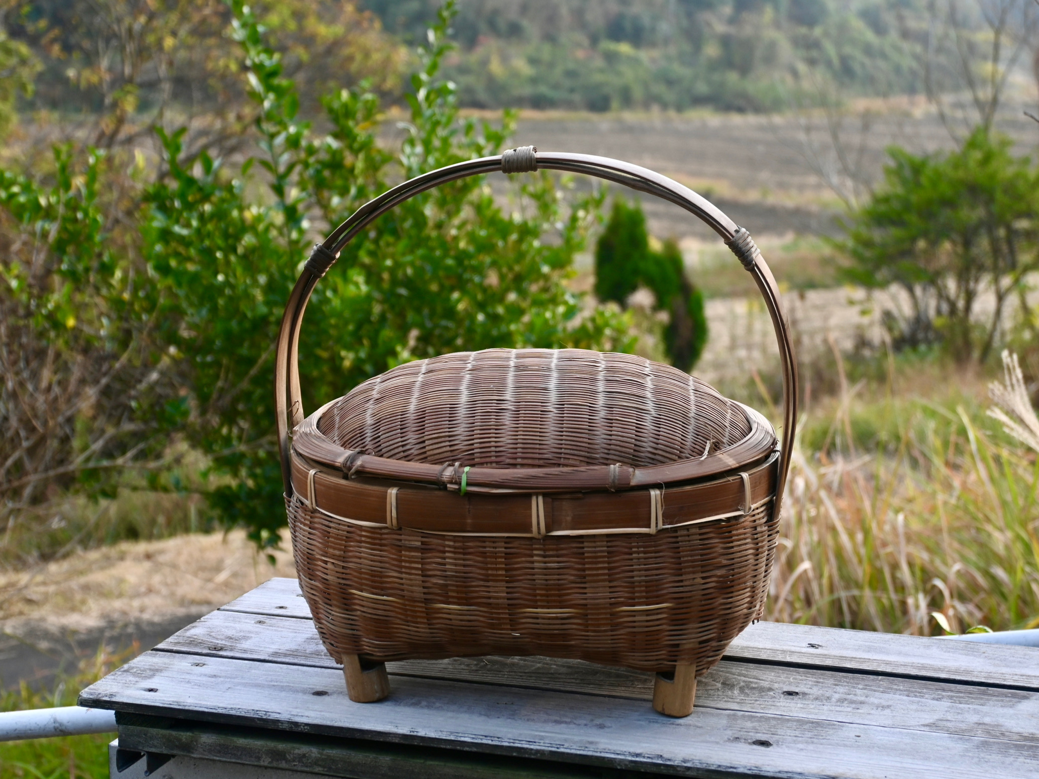 【野良籠】レポート①