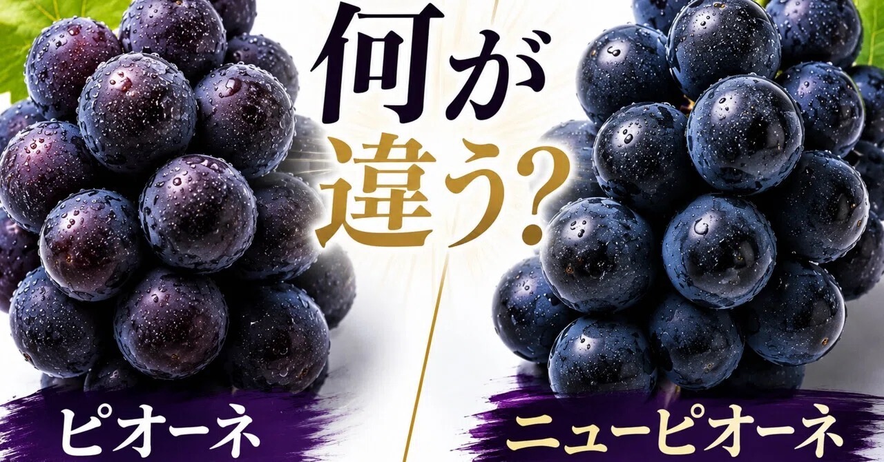 ニューピオーネとピオーネ、何が違うの?10年育てた農家の答え