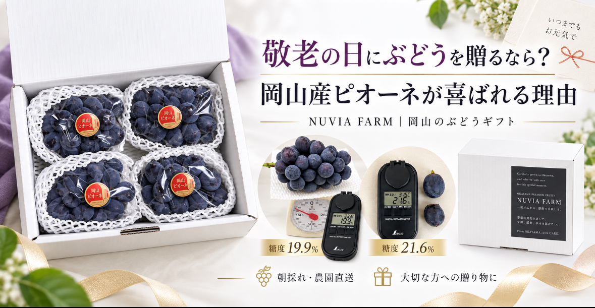 敬老の日にぶどうを贈るなら?岡山産ピオーネが喜ばれる理由