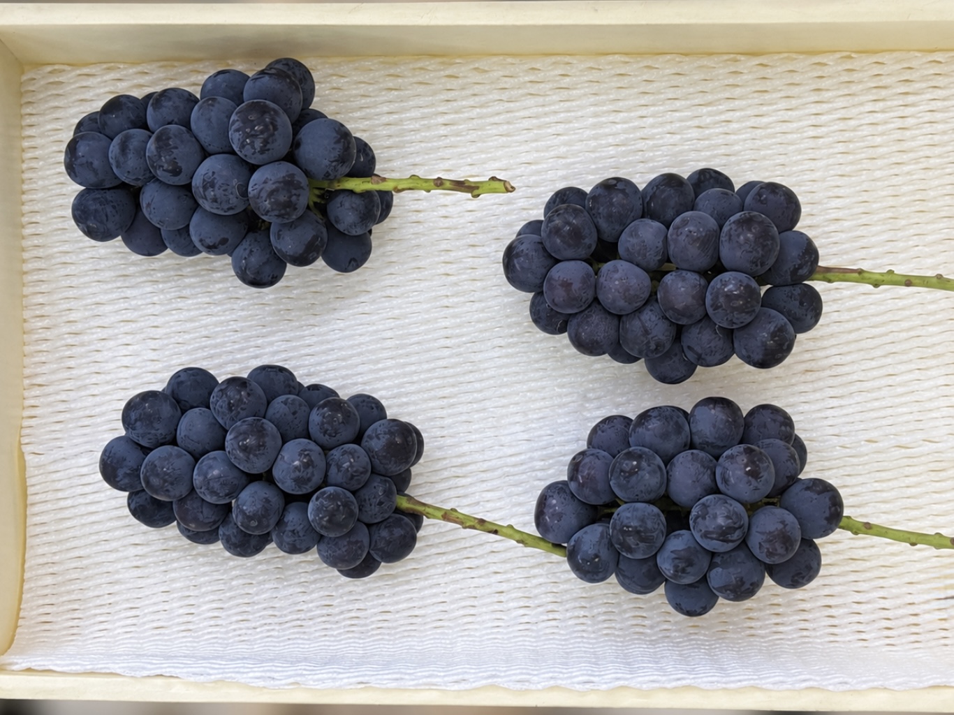 大切な人に贈りたい、岡山の高級ぶどう|NUVIA FARMのこだわり