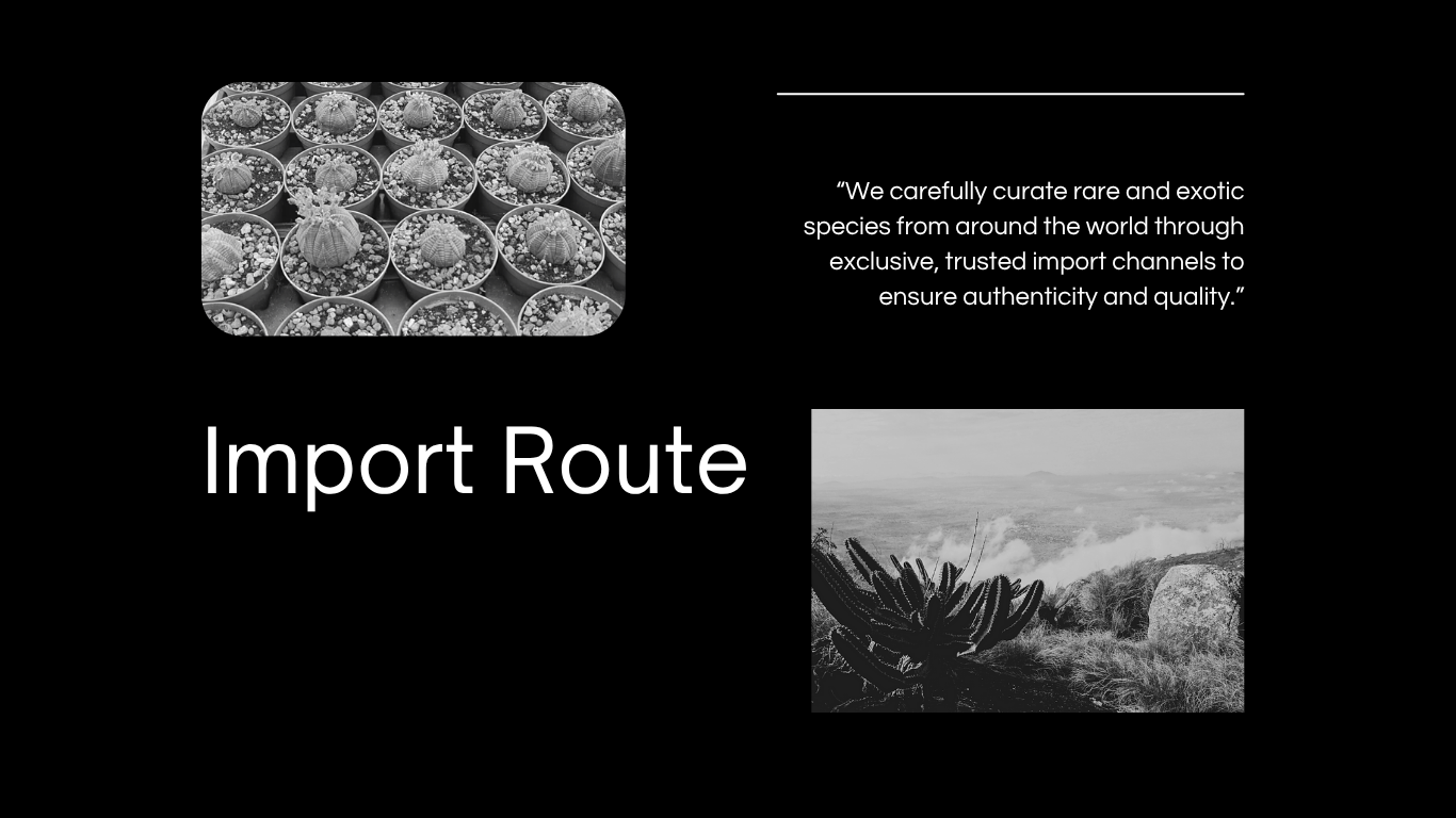 ― 世界の稀少を、確かなルートで ―