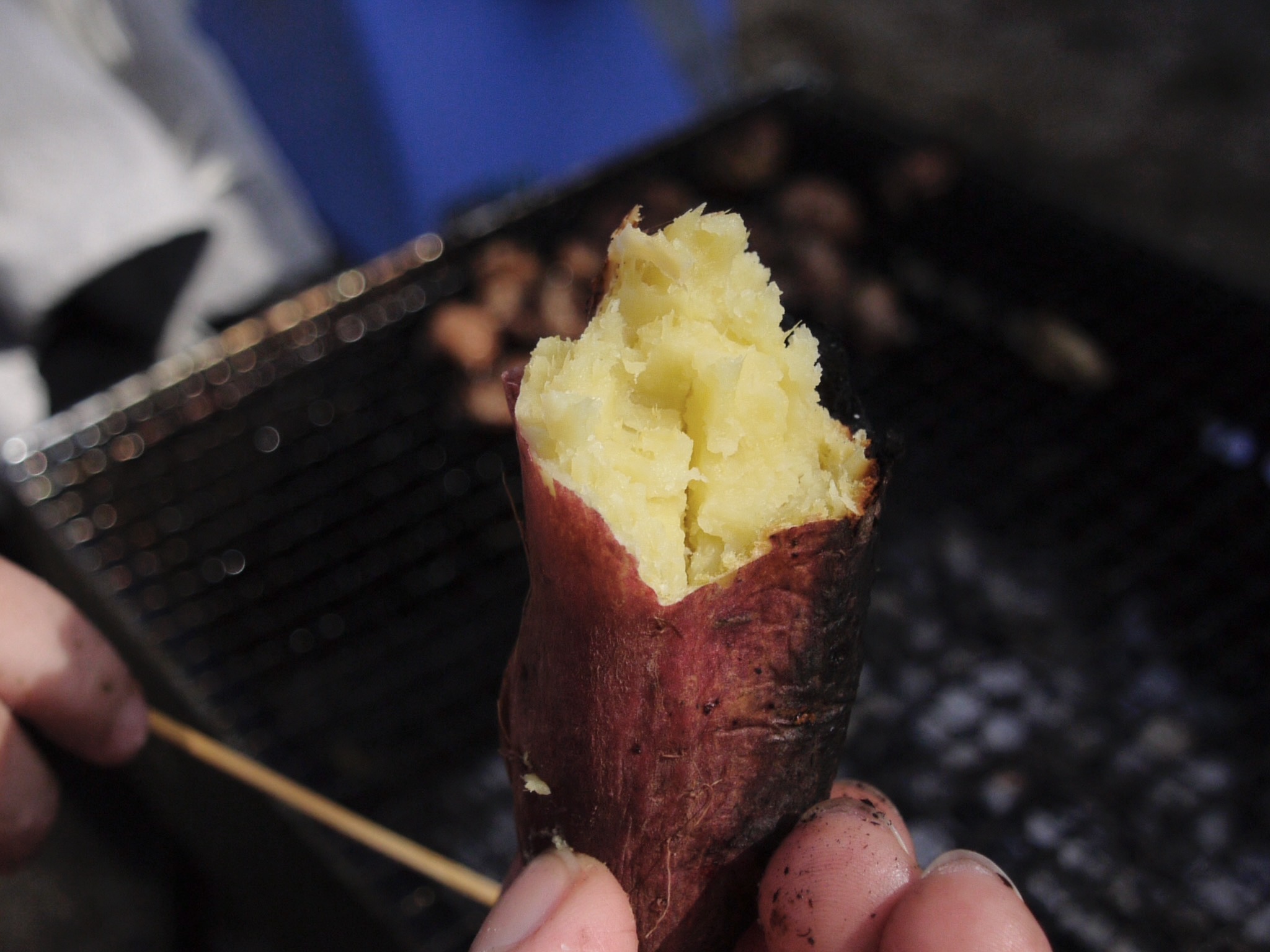 素材自体の味わいが…