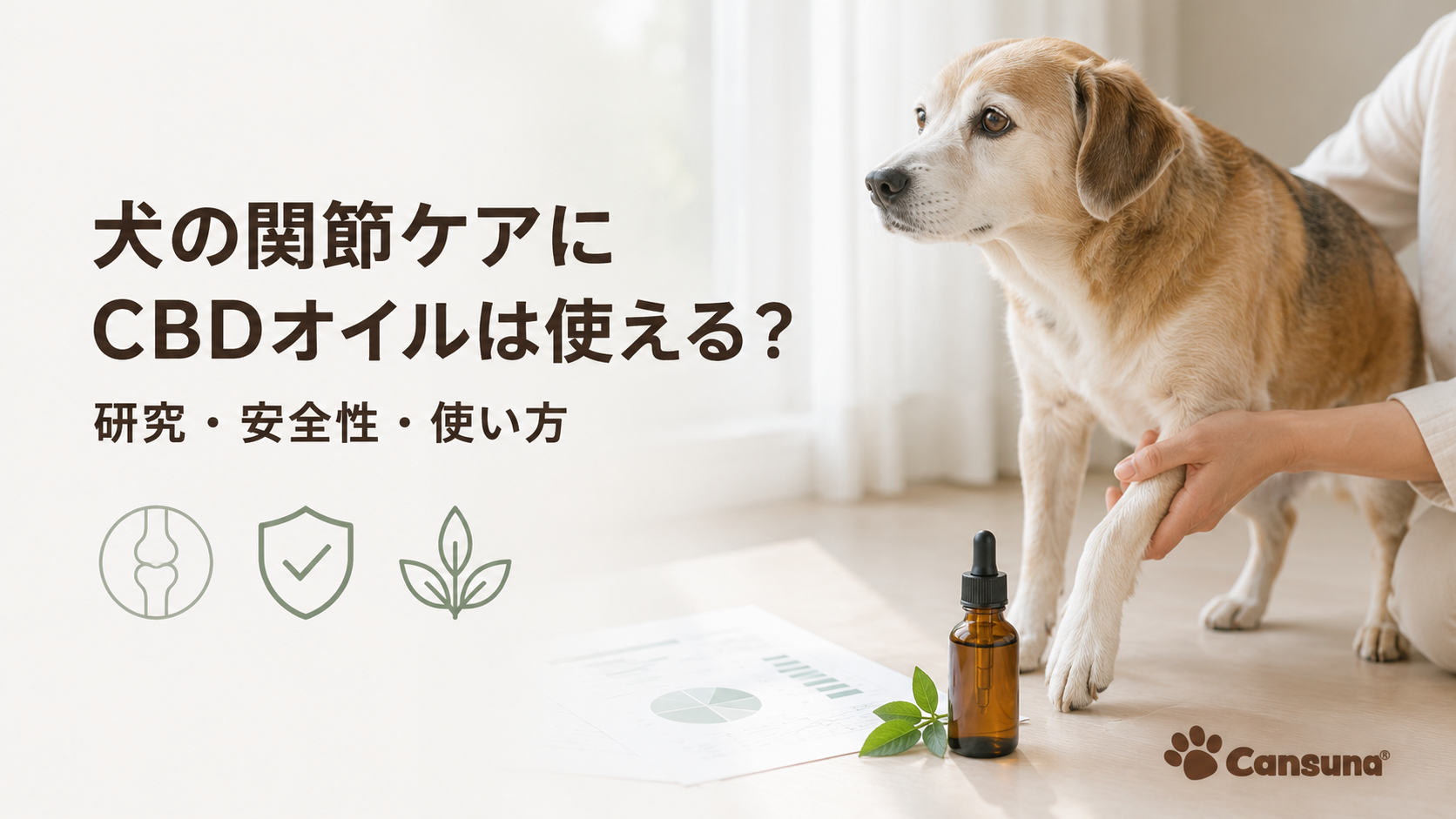犬の関節ケアにCBDオイルは使える？研究・安全性・使い方【2026年版】