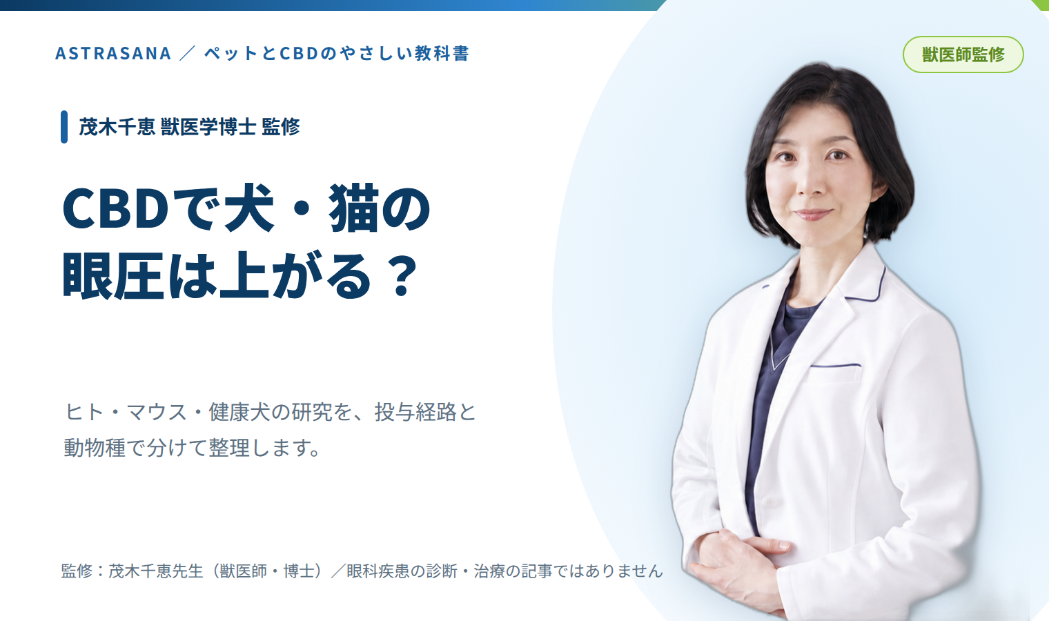 CBDで犬・猫の眼圧は上がる?愛犬・愛猫のために知っておきたい「眼のサイン」
