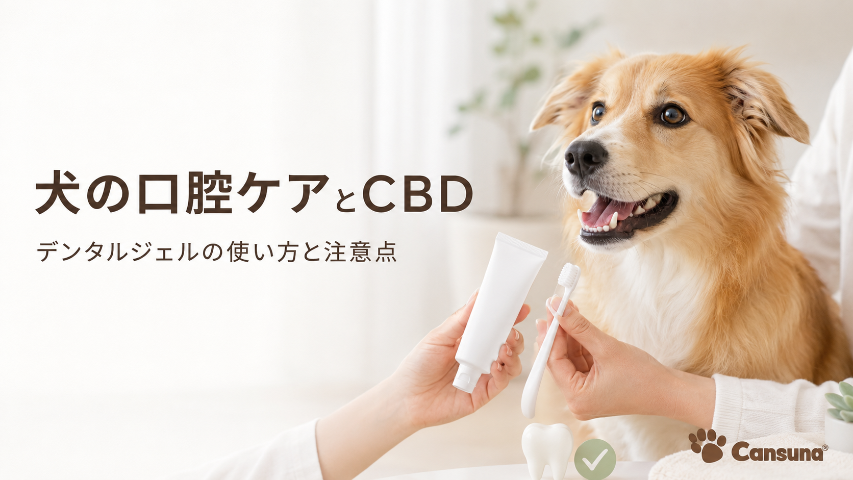 犬の口腔ケアとCBD｜デンタルジェルの使い方と注意点【2026年版】